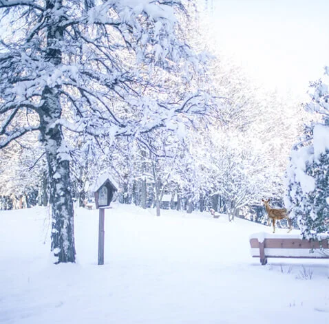 gartenpark-winter-big.jpg
