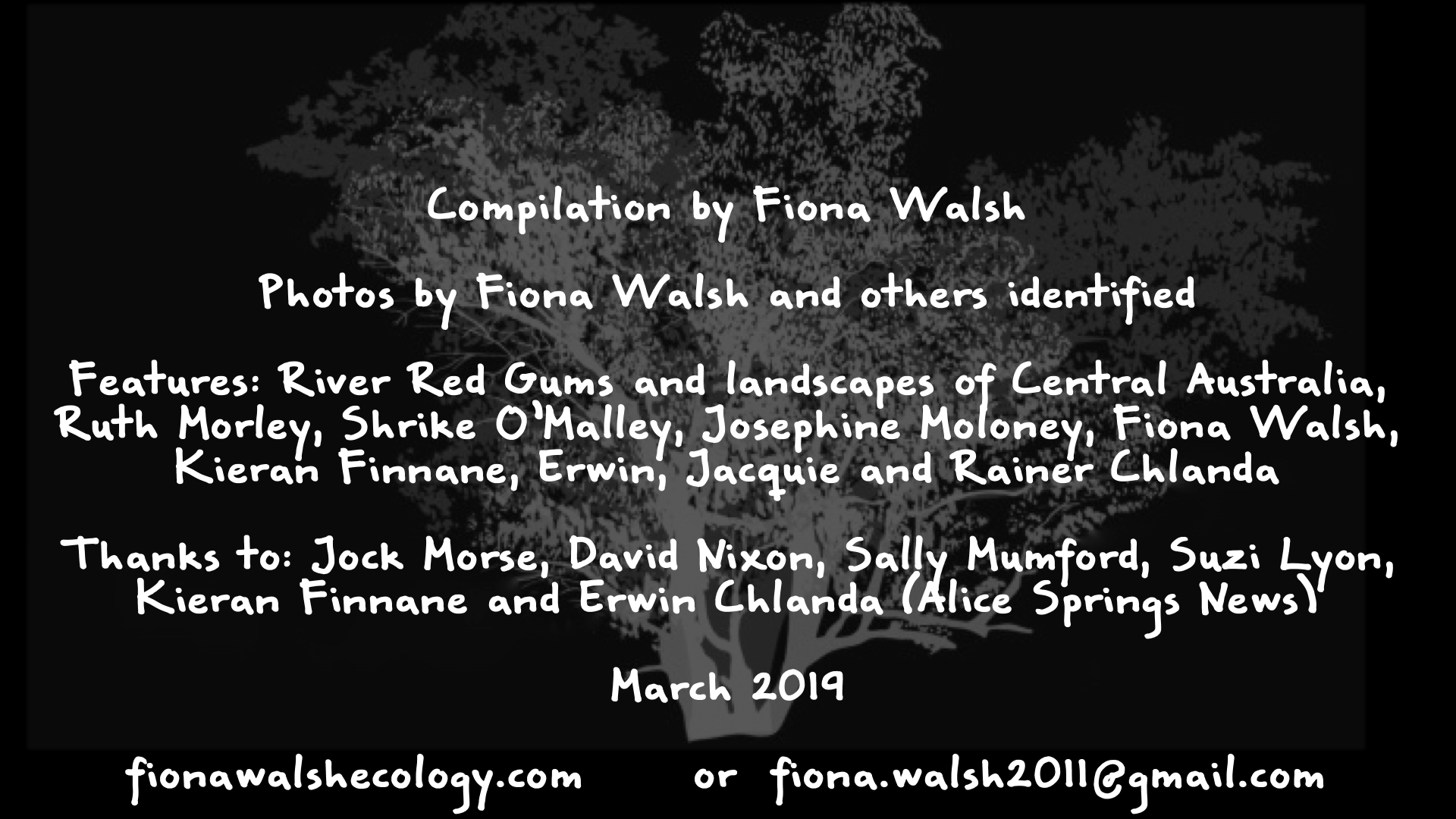 27_trees our body©Fiona J Walsh.png