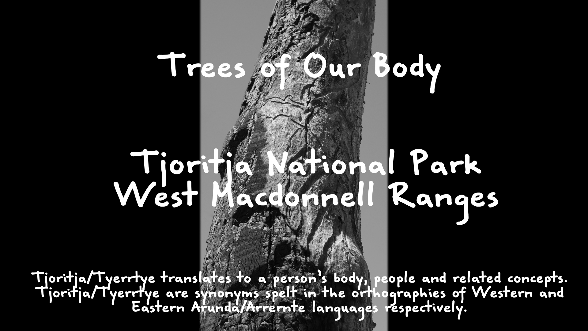 1_trees our body©Fiona J Walsh.png