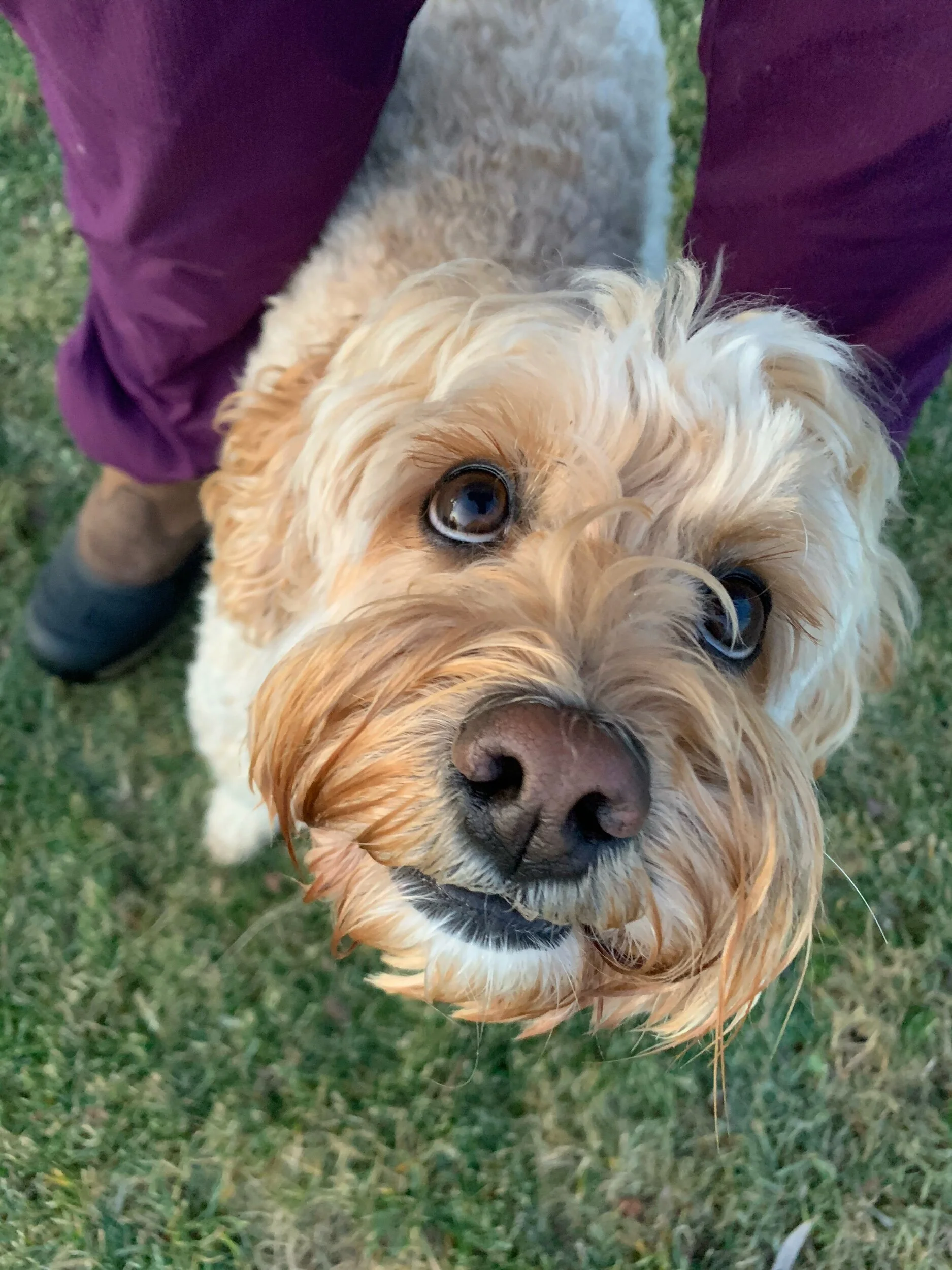 Please Don’t Throw Me in the Deep End Before I Learn to Swim