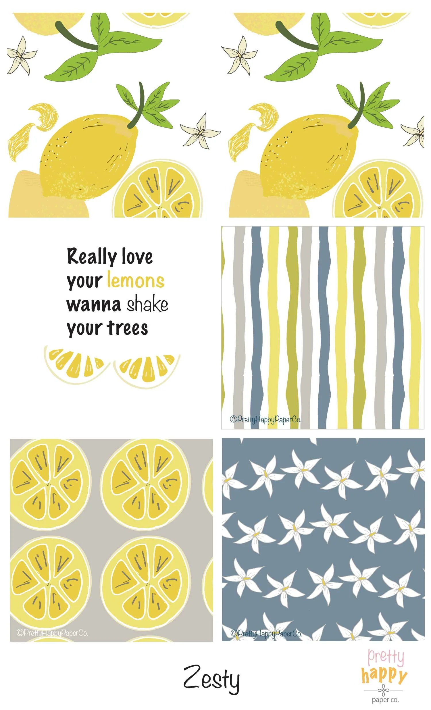 Zesty_Contact_Sheet.jpg