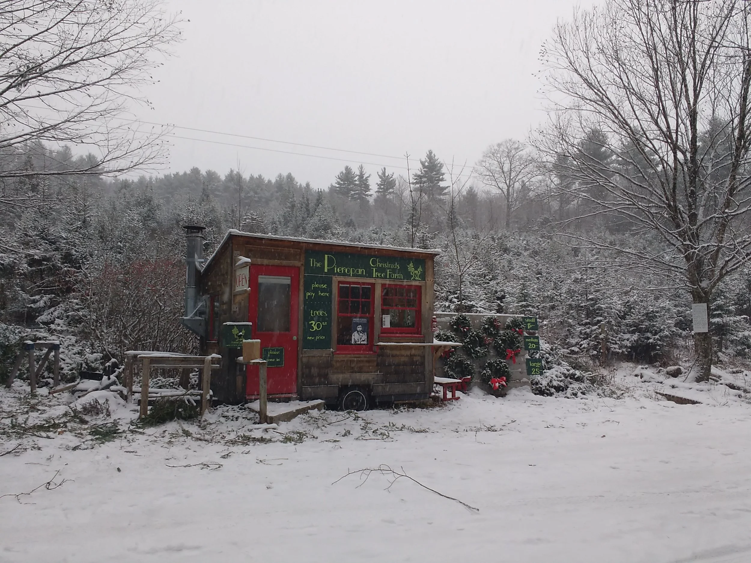 hut with display wall.jpg