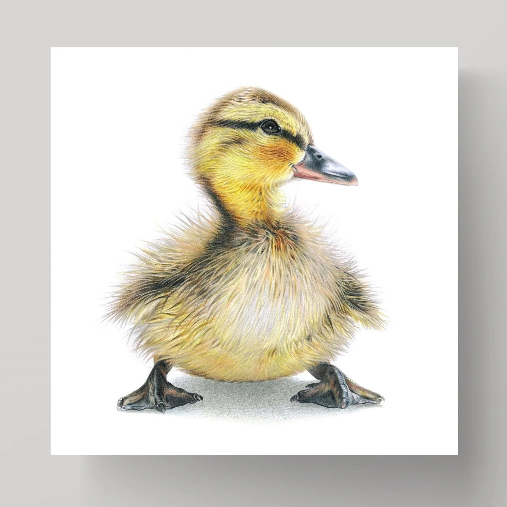 Duckling+card.jpg
