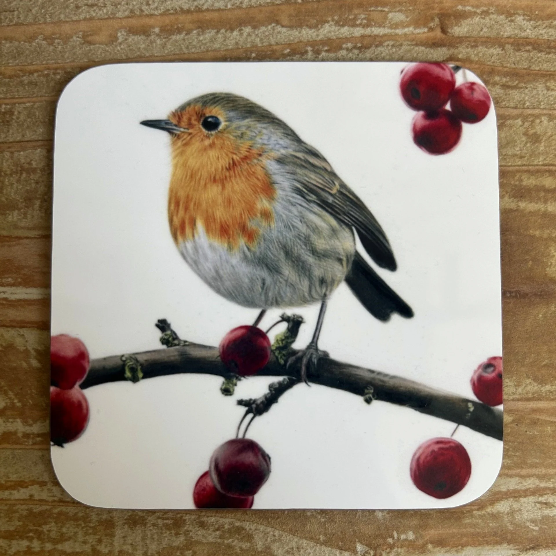 Winter+Robin+-+Coaster.jpg