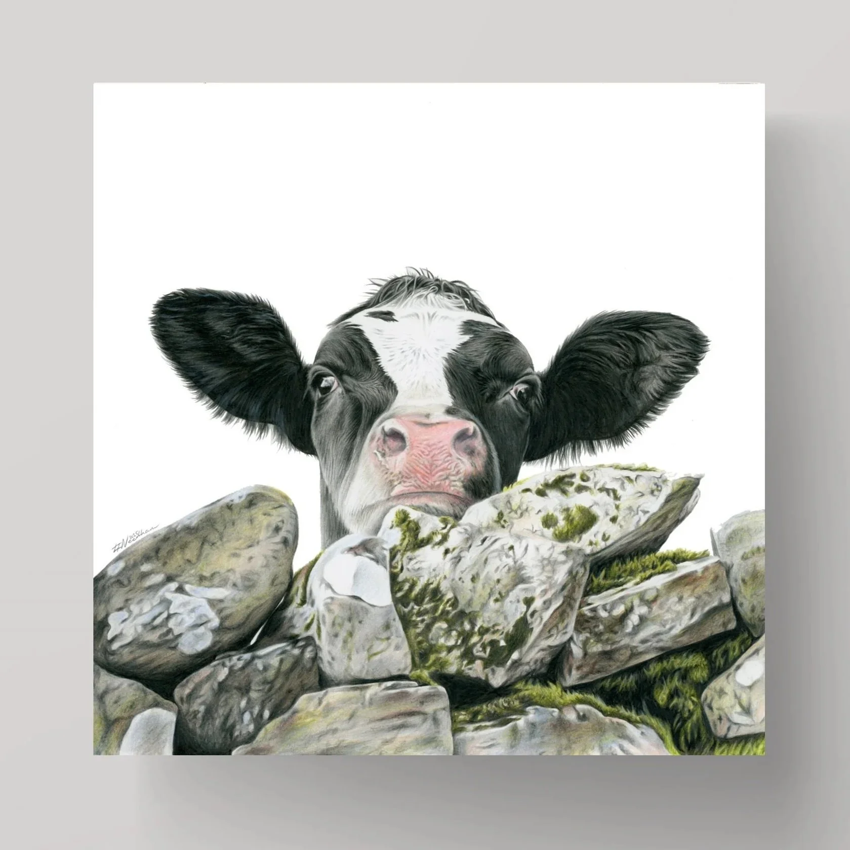Nosy+Cow+CARD.jpg
