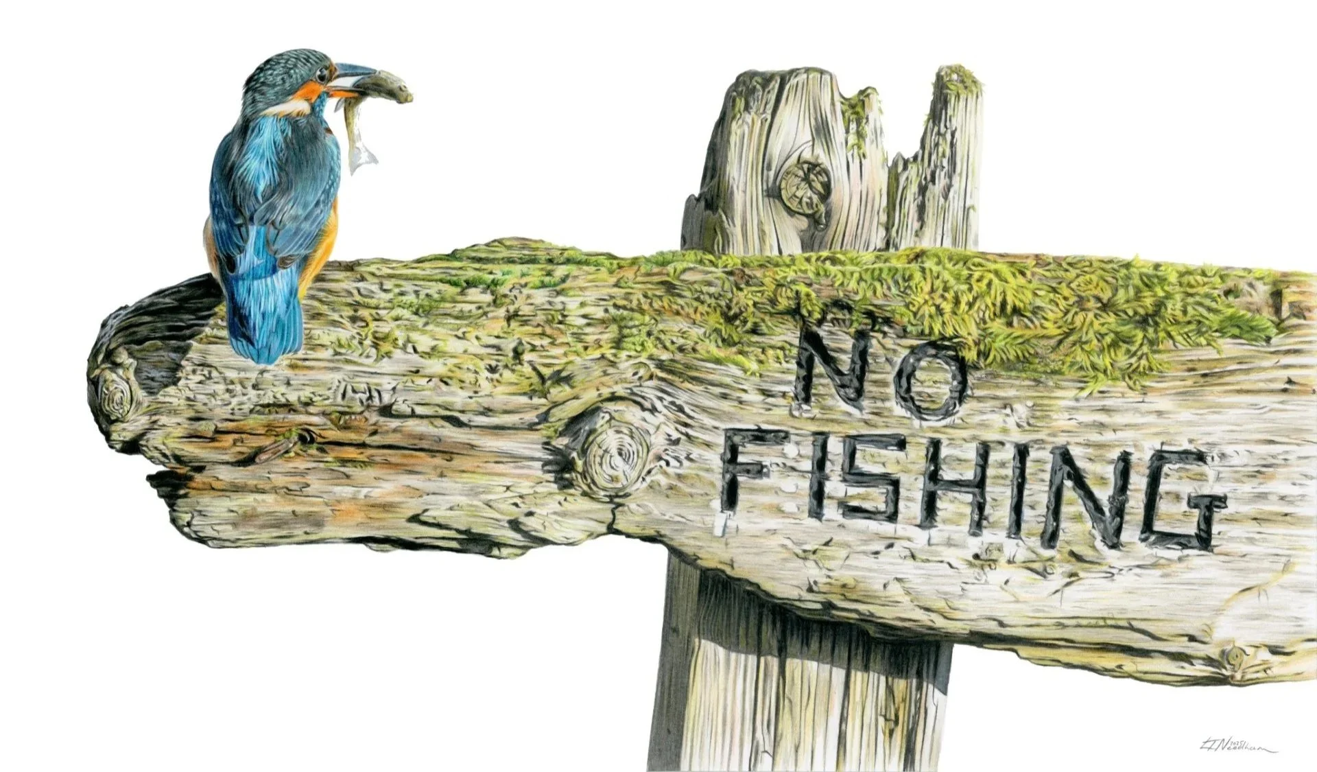No Fishing - Luke Needham Art.jpg