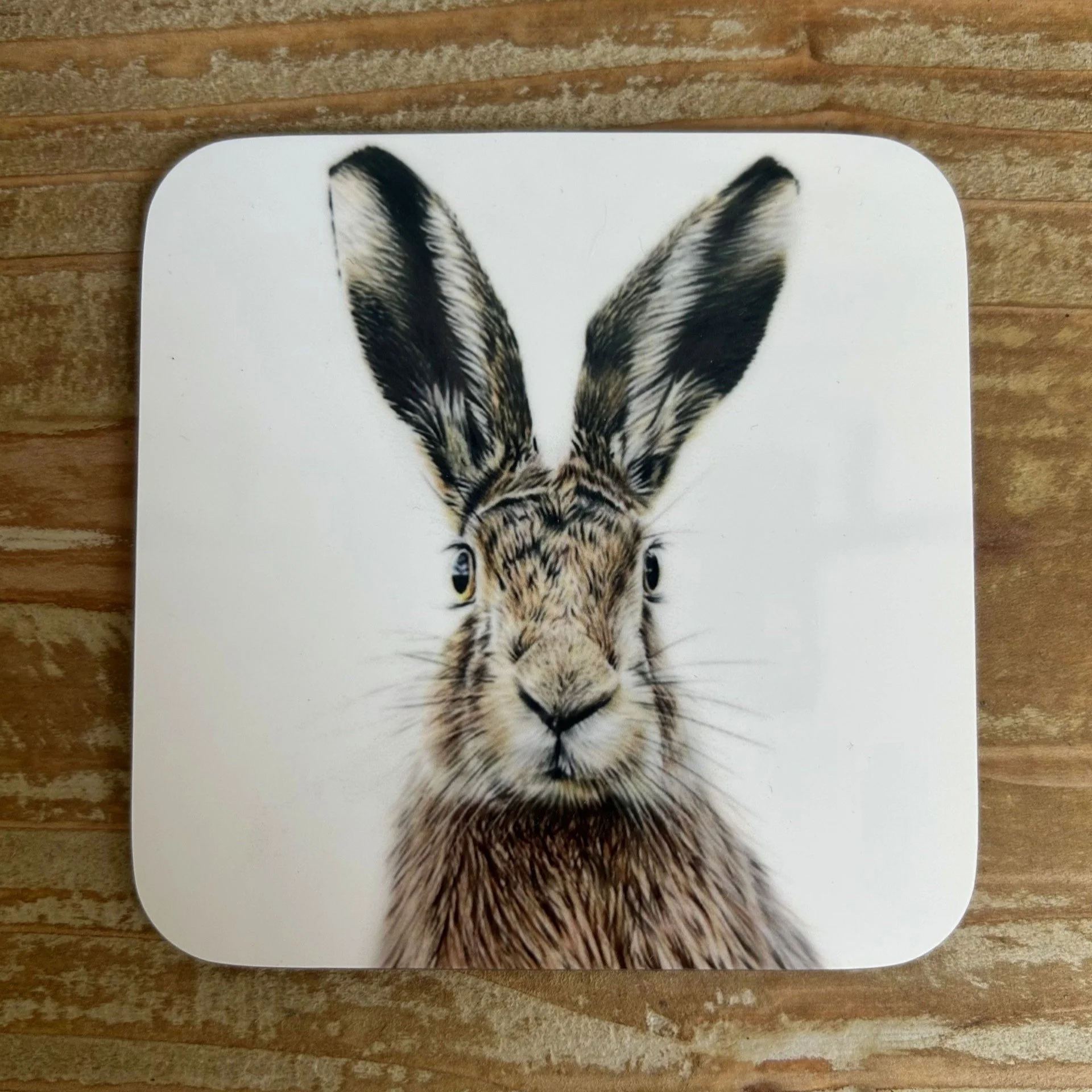 Alert+Hare+-+Coaster.jpg