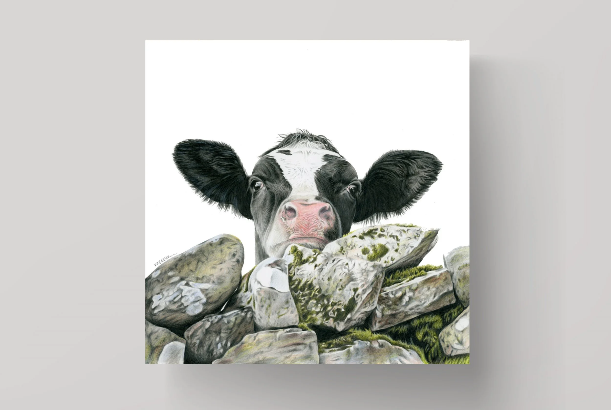 Nosy Cow - Greetings Card