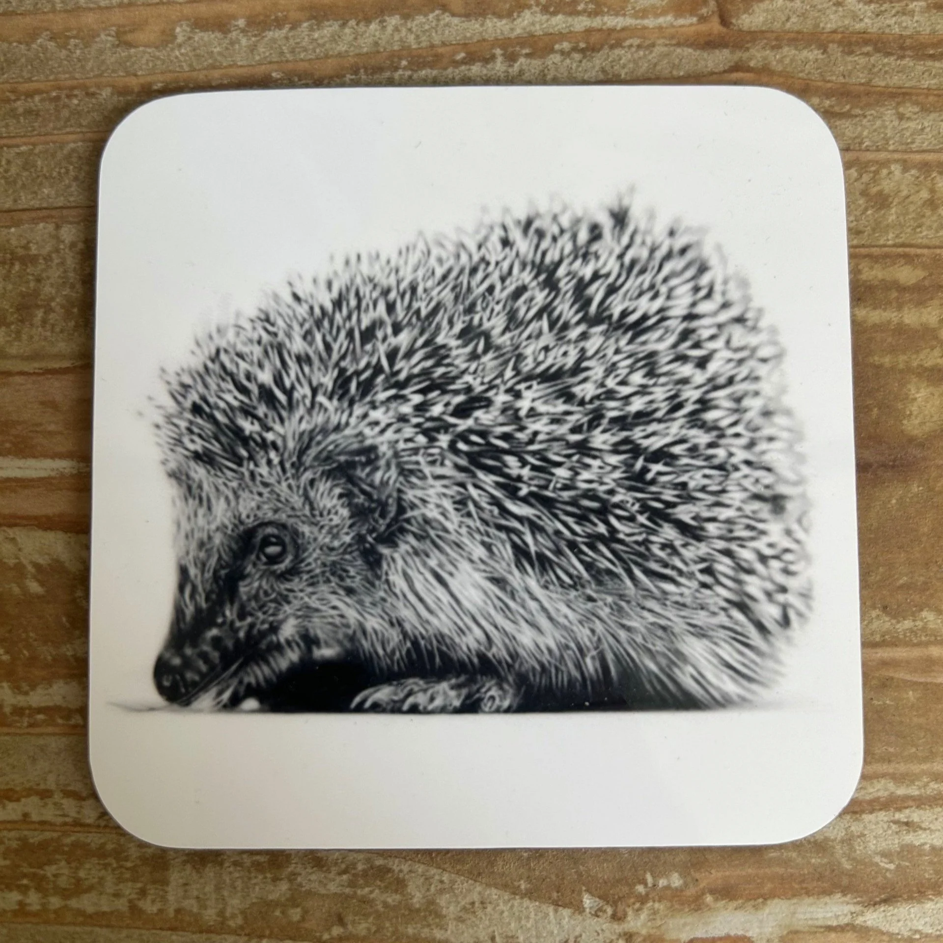 Hedgehog+-+Coaster.jpg