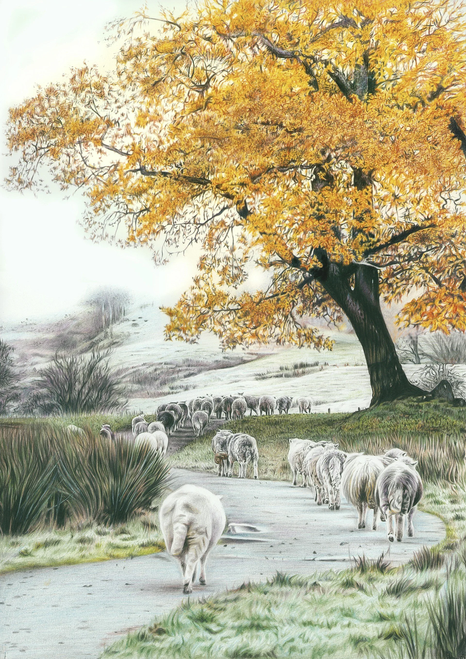 Follow the Leader - Luke Needham Art.jpg