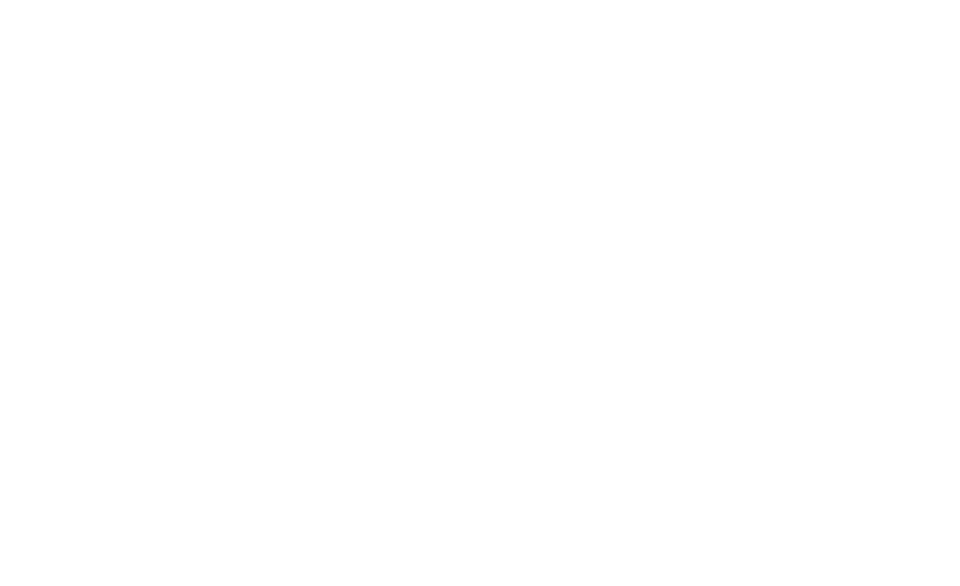 intro.png