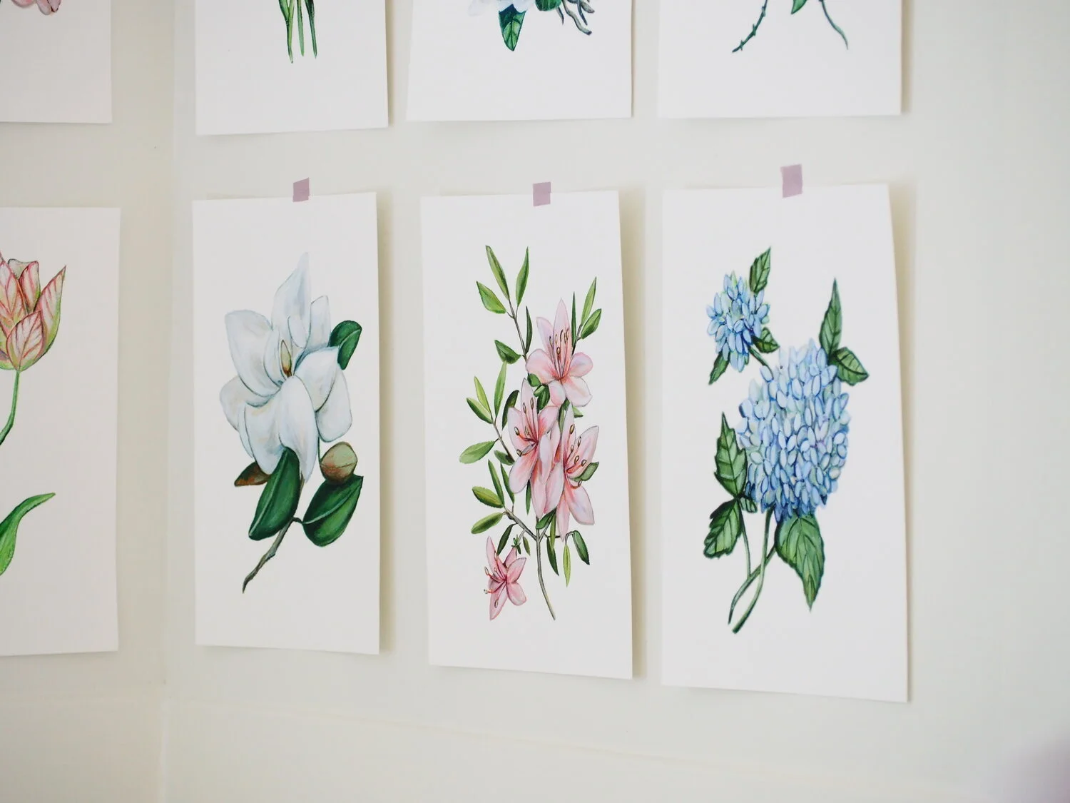 YGG: Liza Pruitt