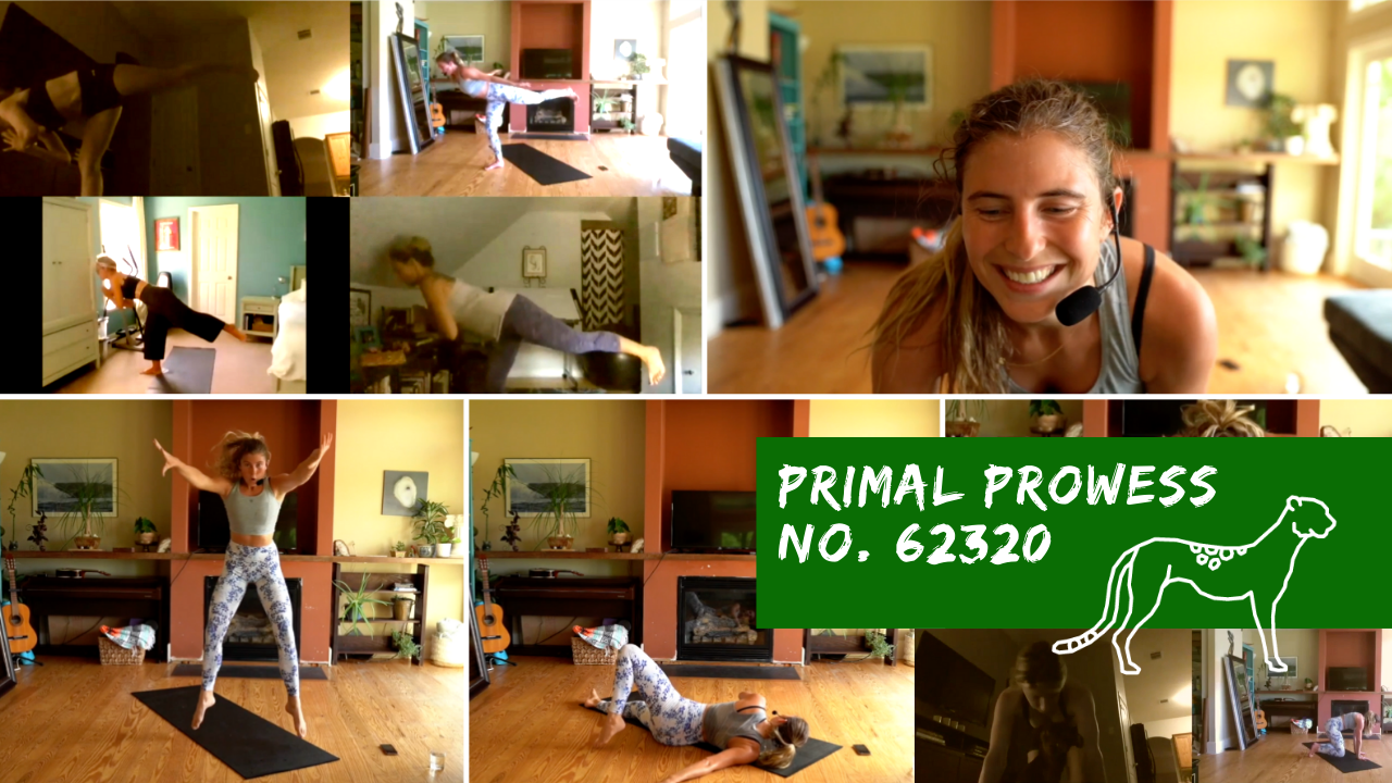 Primal Prowess No. 62320 | The Perfect In-Betweener Workout