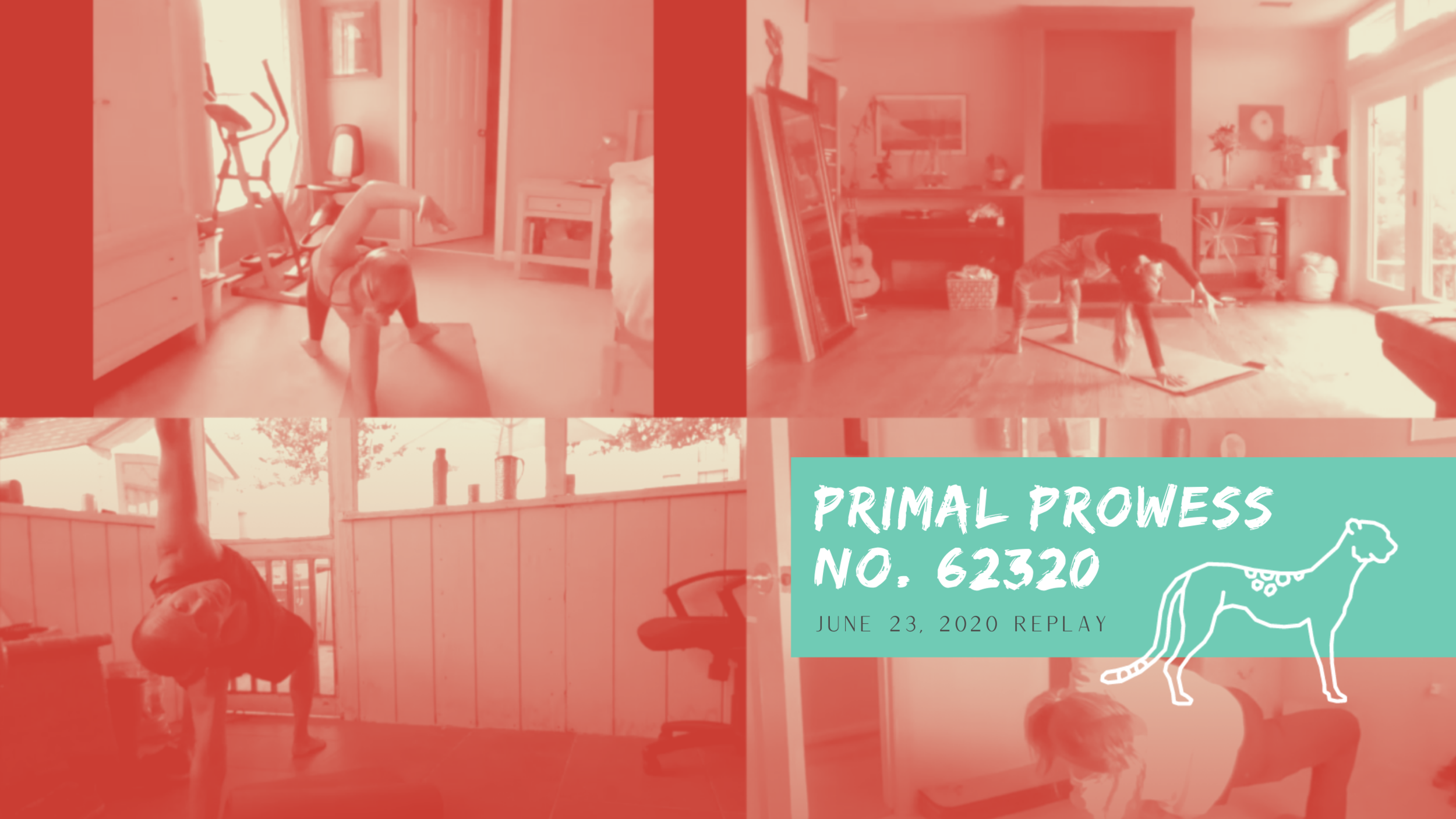 Primal Prowess No. 62620 | Dynamic Strength + Cardio Builder