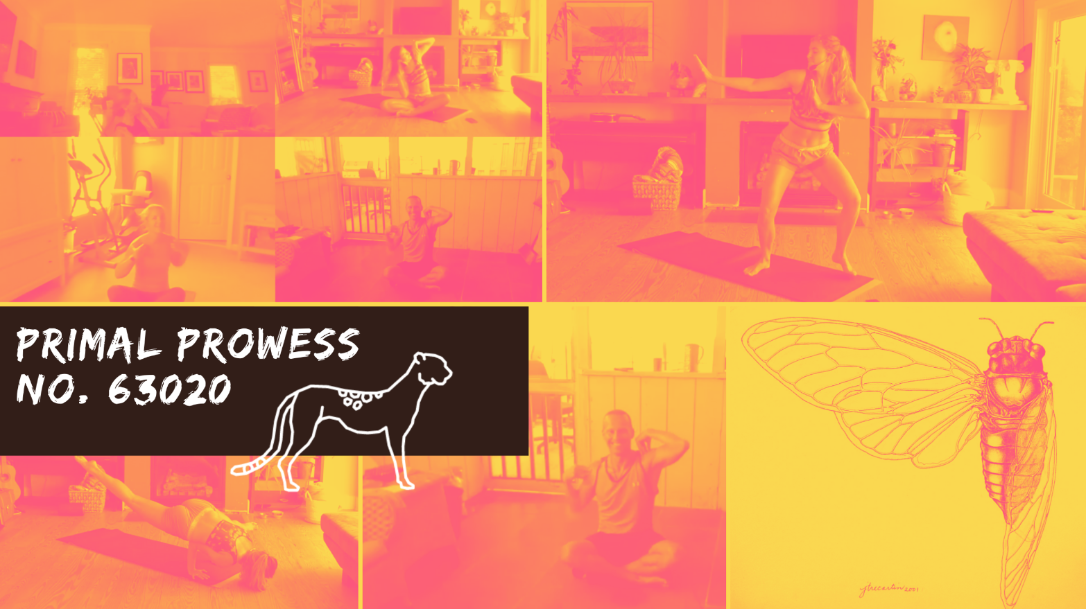 Primal Prowess No. 63020 | Emerging, Metamorphosis + Unearthing AKA Cicada Vibes