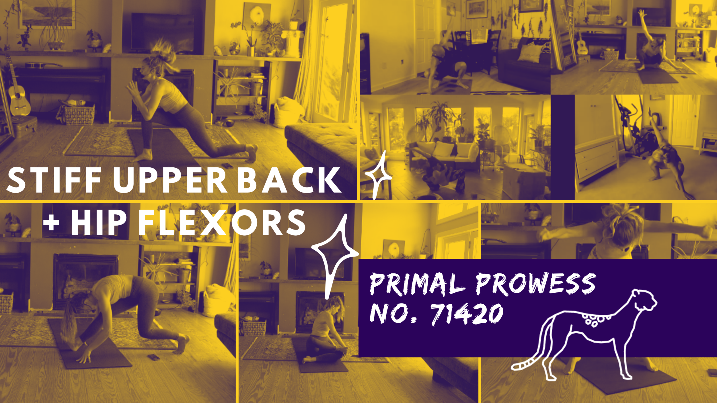 Cranky, Tired, Fatigued, When You've Got A Bad Attitude: The Workout For When You Don't Feel Like Working Out - (Stiff Hips, Chronic Upper + Lower Back Pain) Primal Prowess No. 71420 