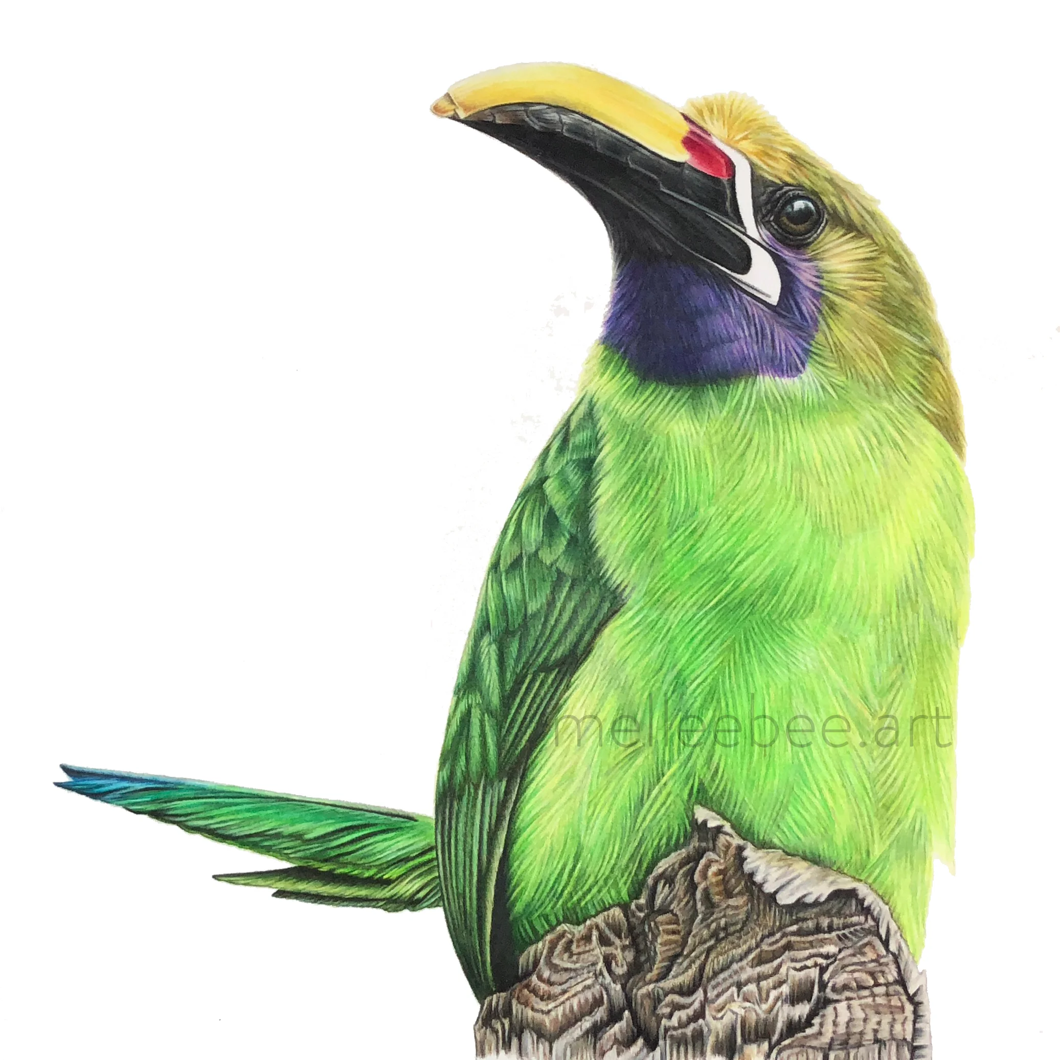 This image is not for sale. Please contact me for commissions if you are interested, or please visit my Gallery. Thank you!