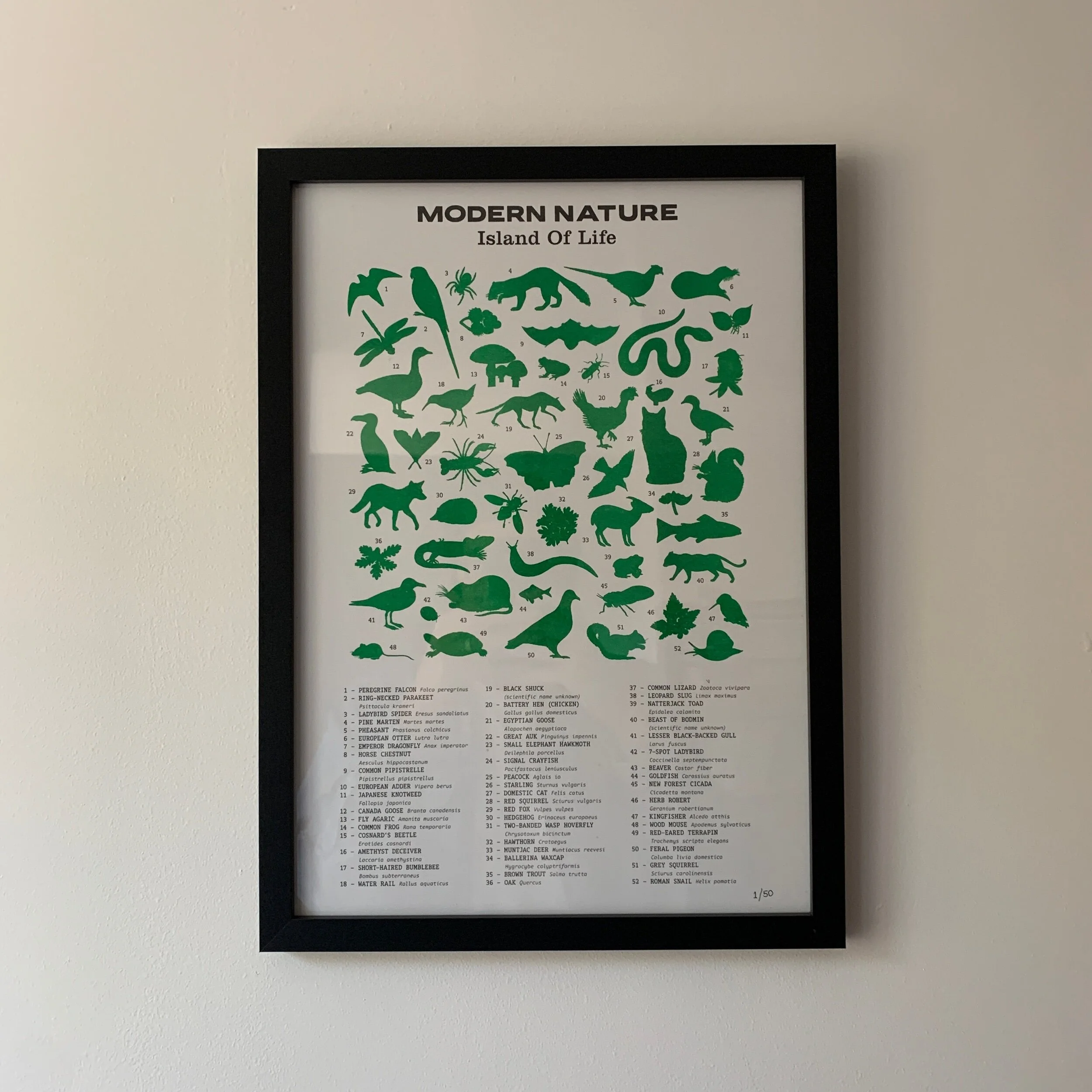 9F50A91A-7546-497A-9013-A1B5524C3756