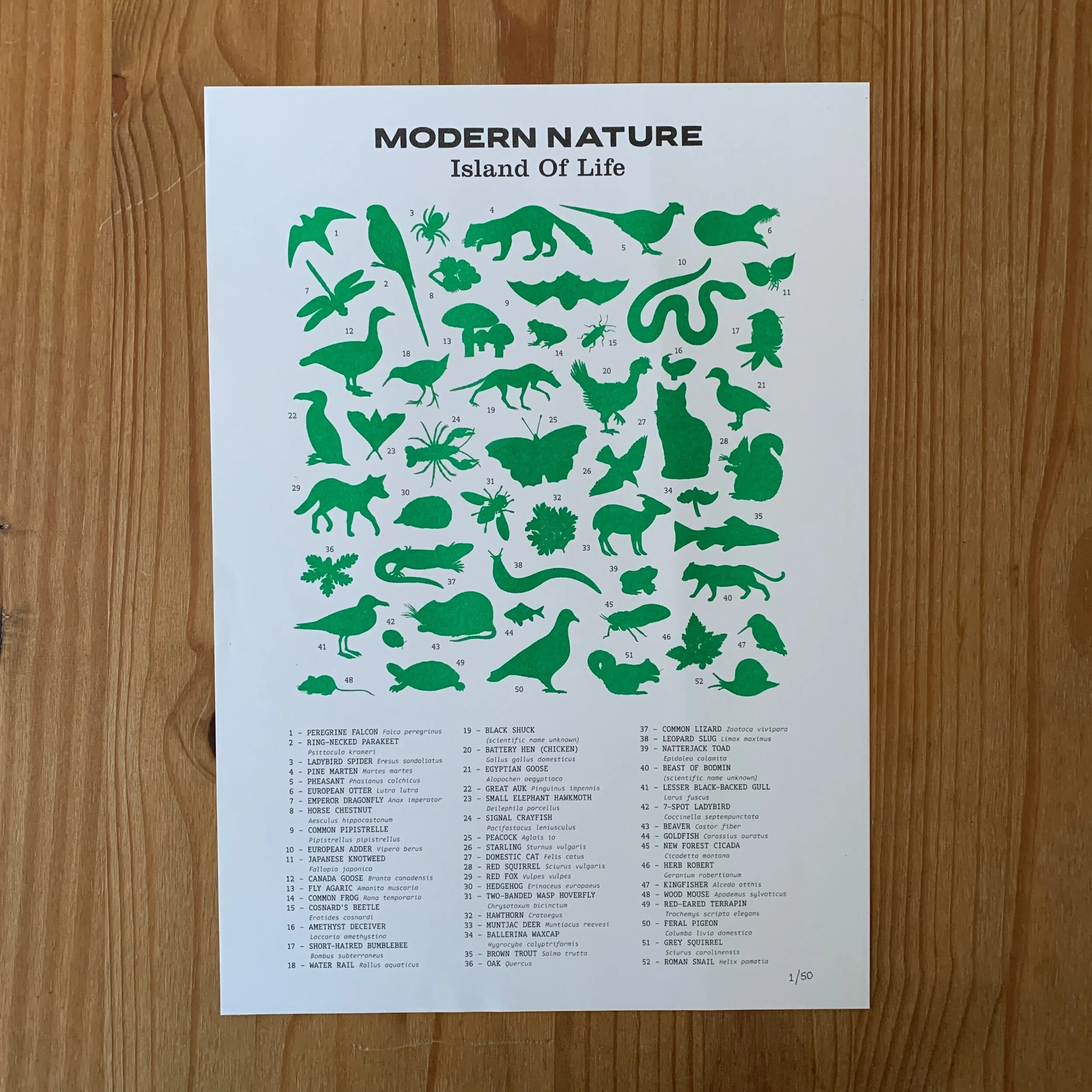 23E25C40-E90A-4D66-9C2B-B4DC9701BA46