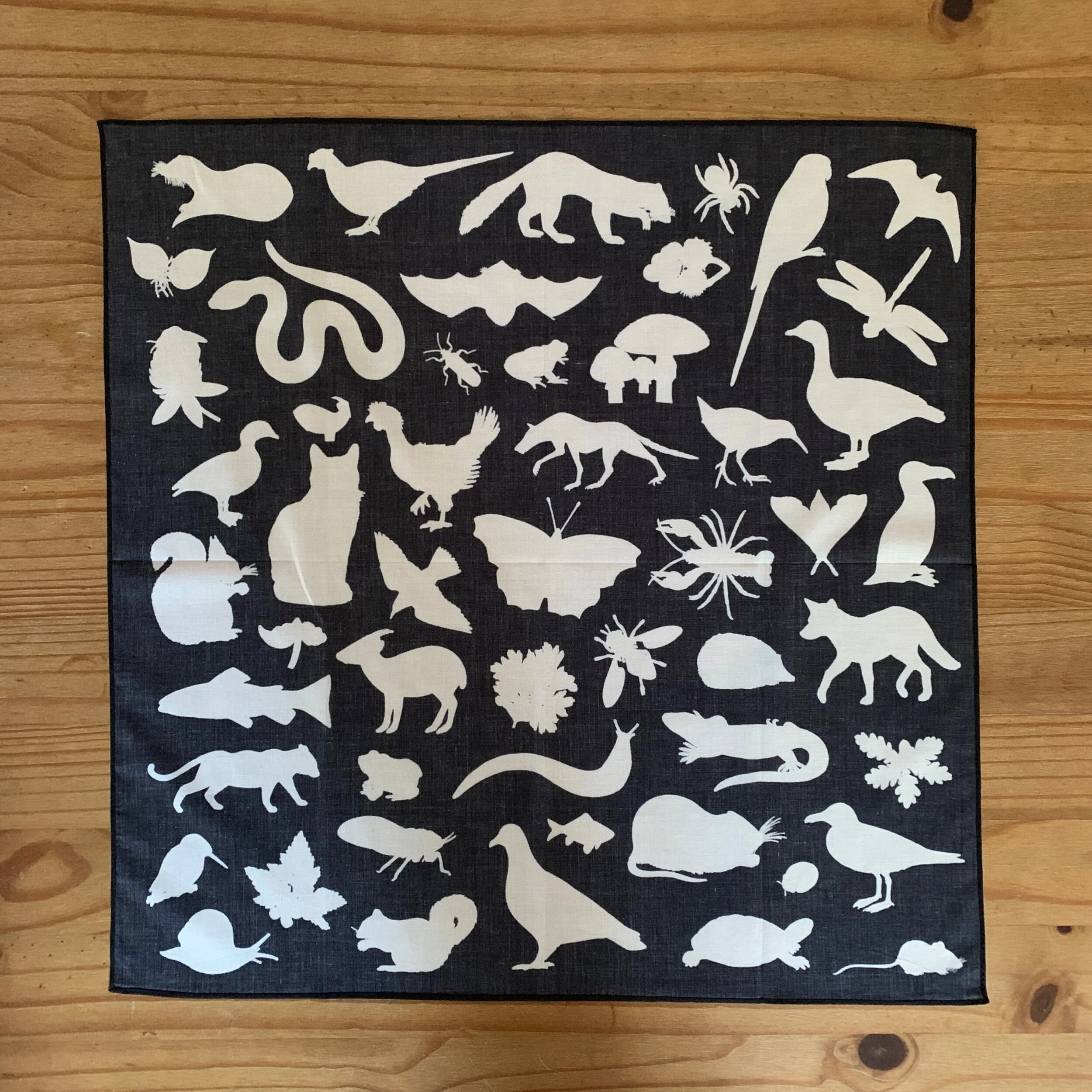 CF621C00-1B21-4C36-805C-945B9E43DAA6