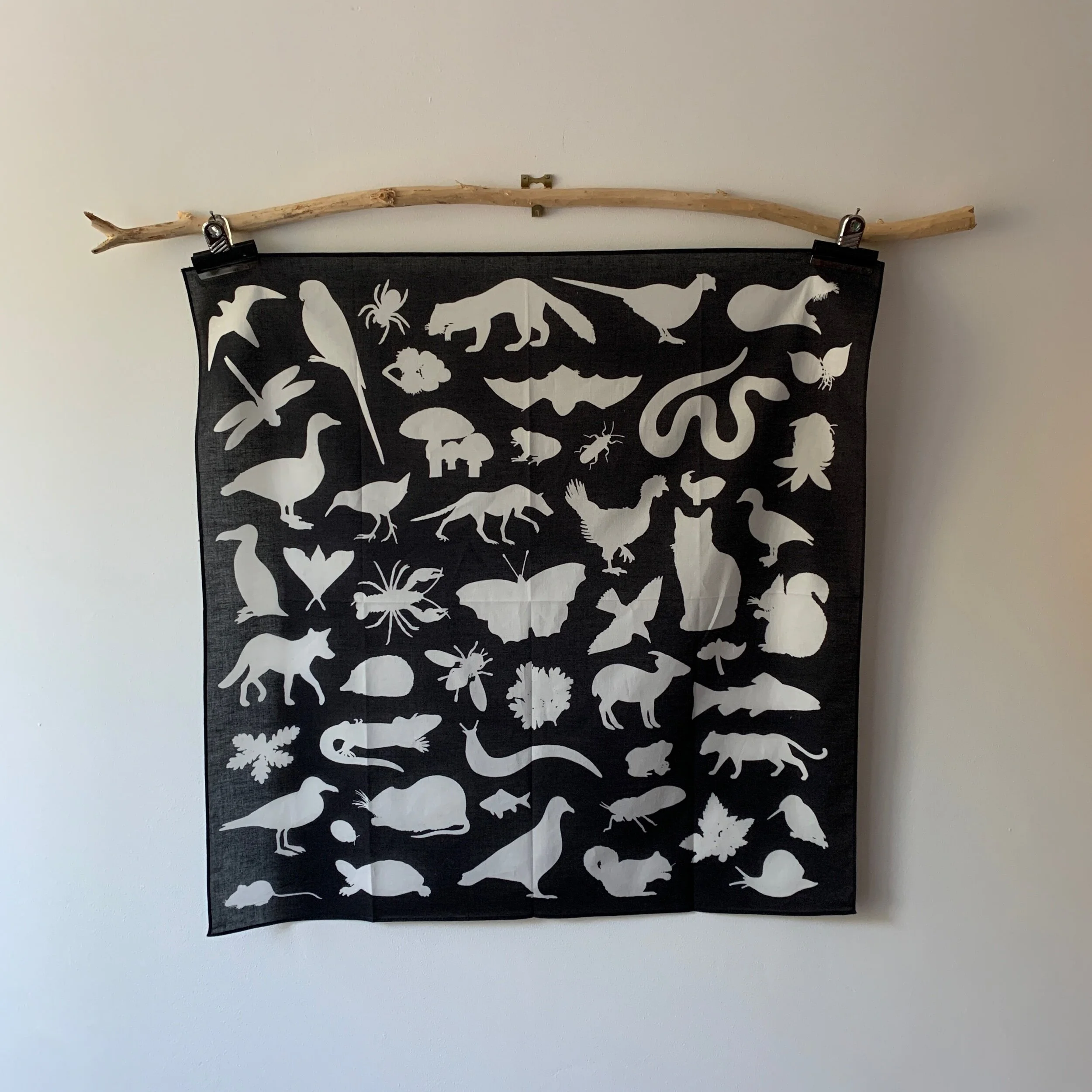 342AA712-87D5-4619-8368-024CE778699D