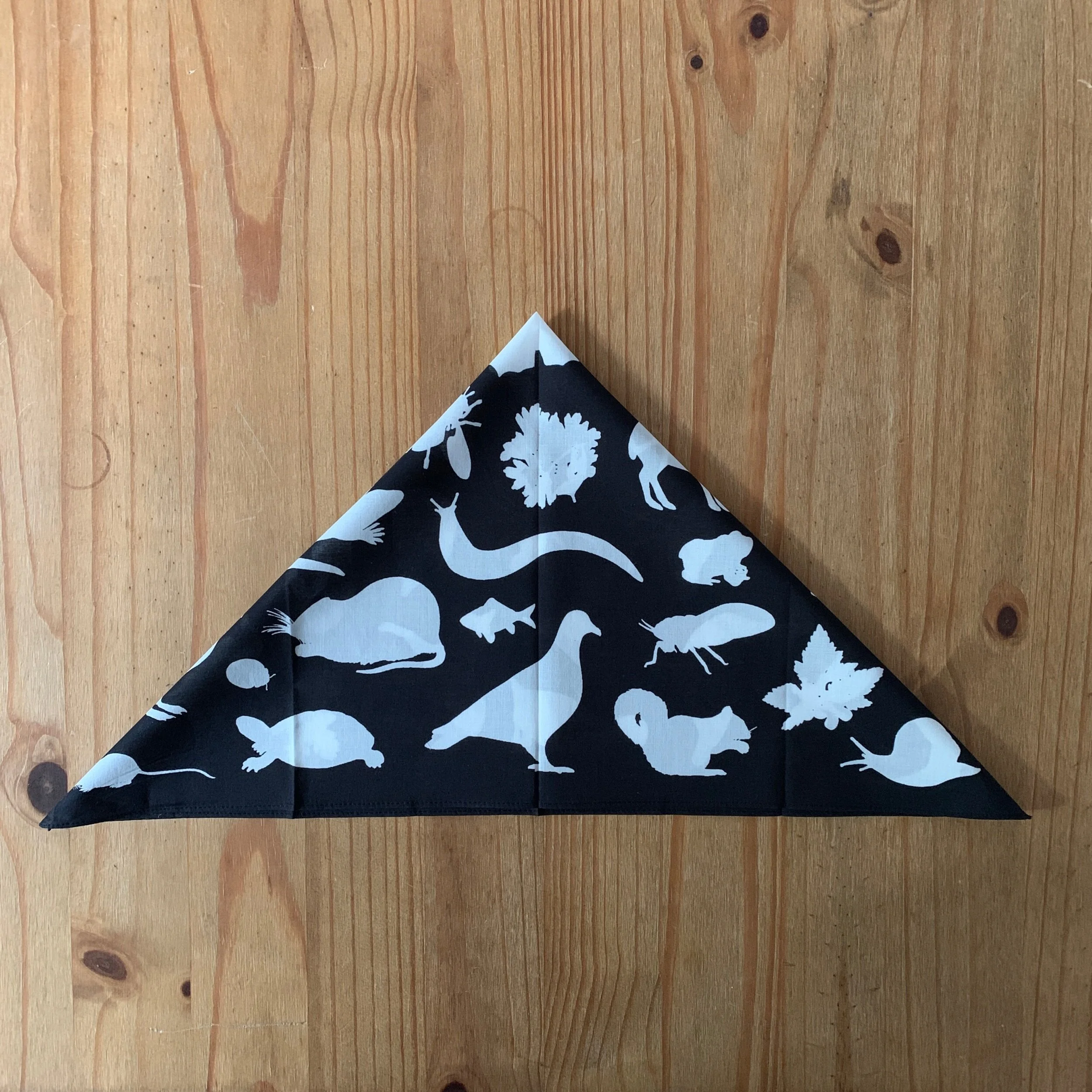 3649C616-6006-4B4C-B8BC-2AADA49A47D5