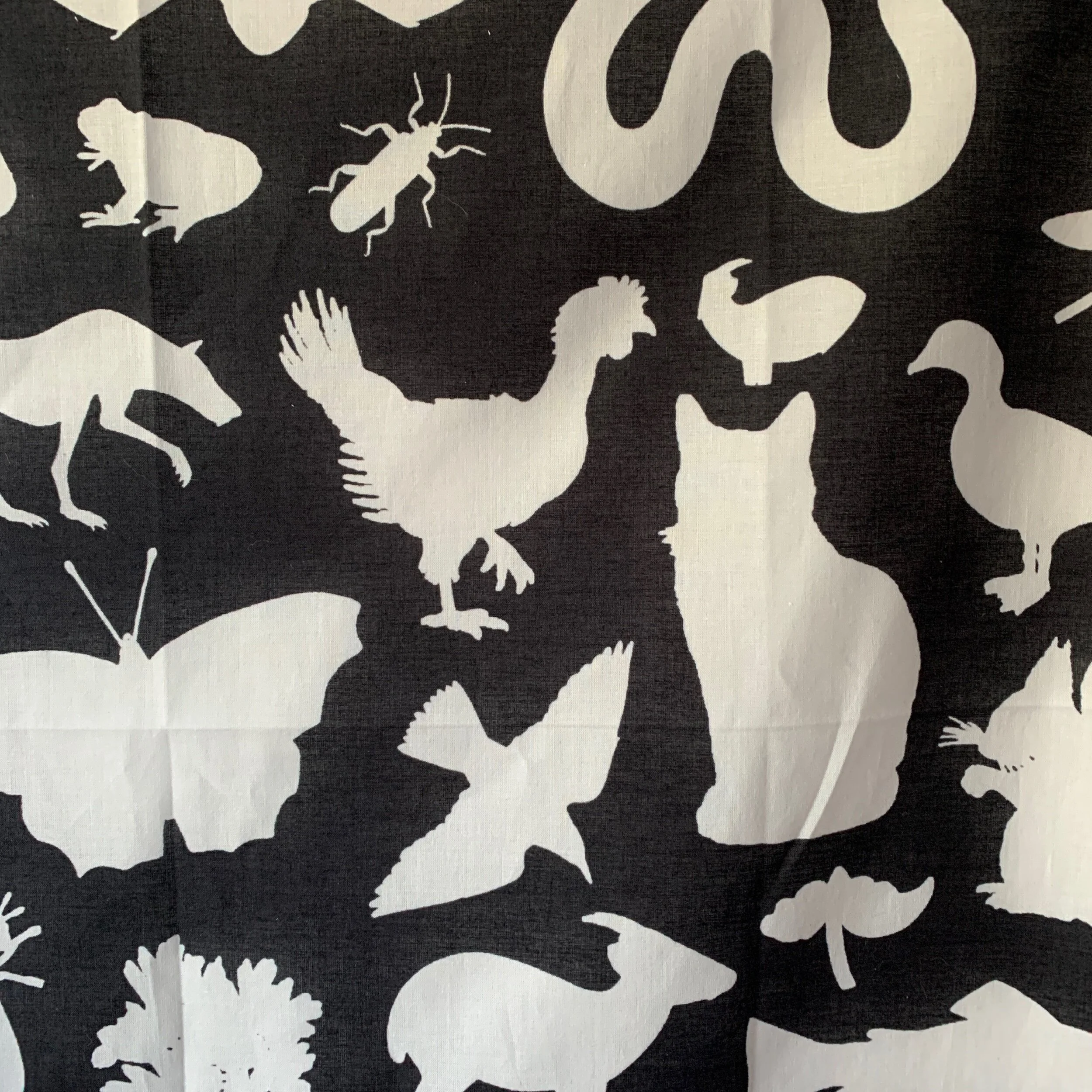 A40532BC-223D-4A86-90EB-759671CBFDE5