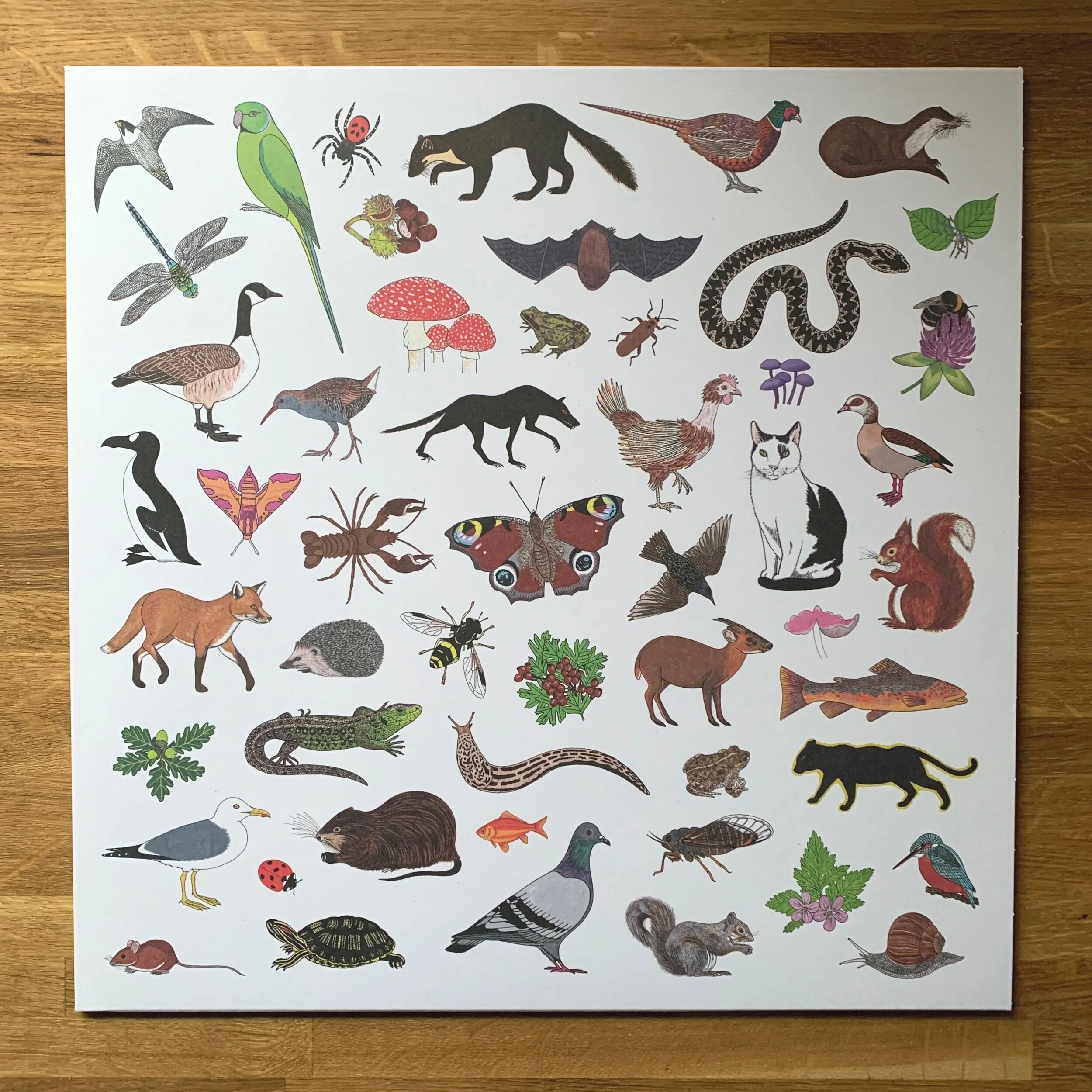 86BDFB12-1297-46D1-9A1B-EC9F533B95CA