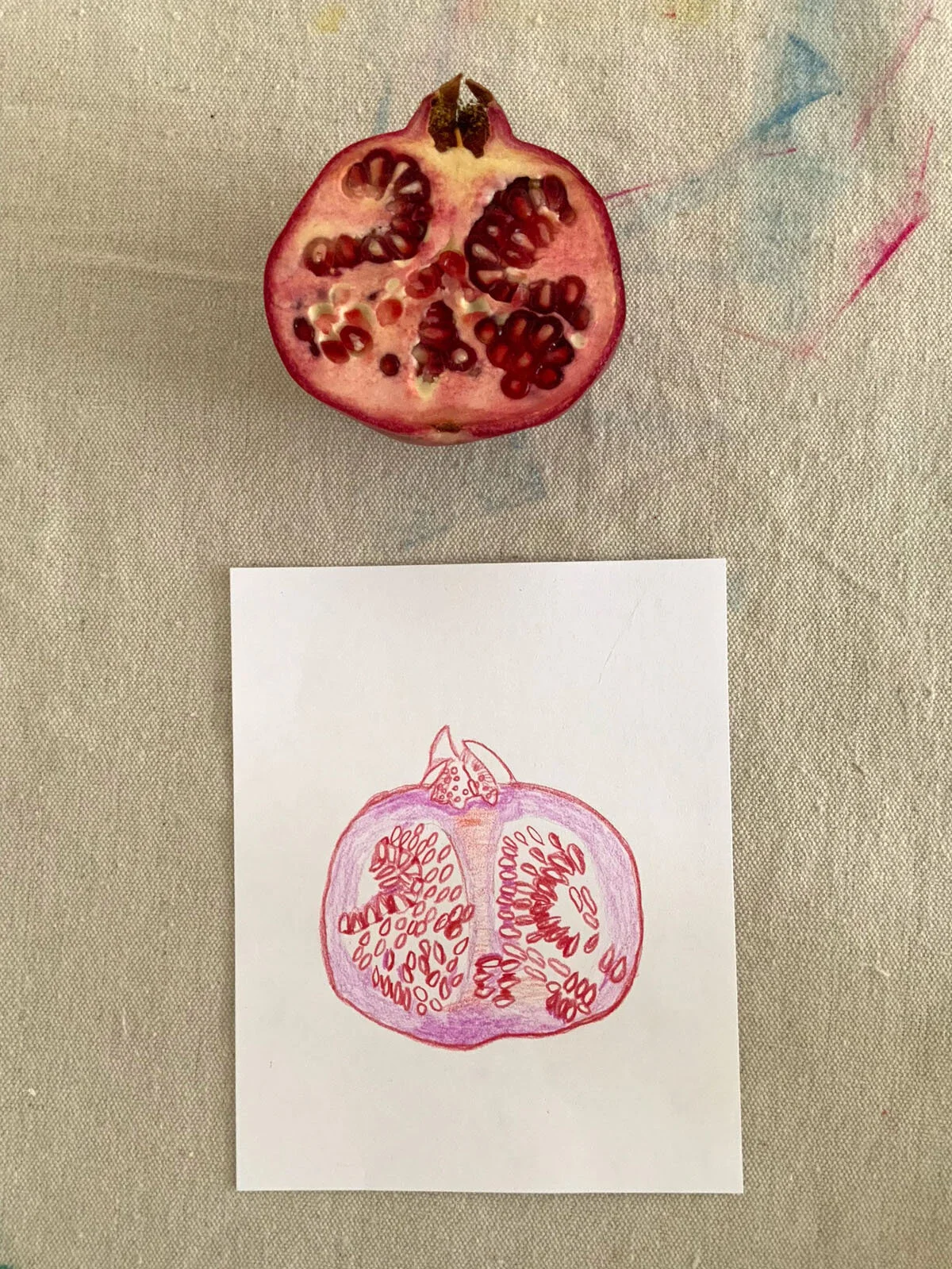 Pomegranate still life / observational drawing using colored pencil.