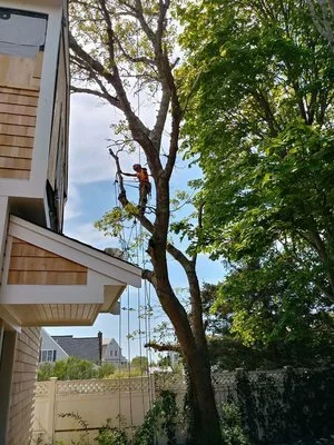 Climbing3.JPG