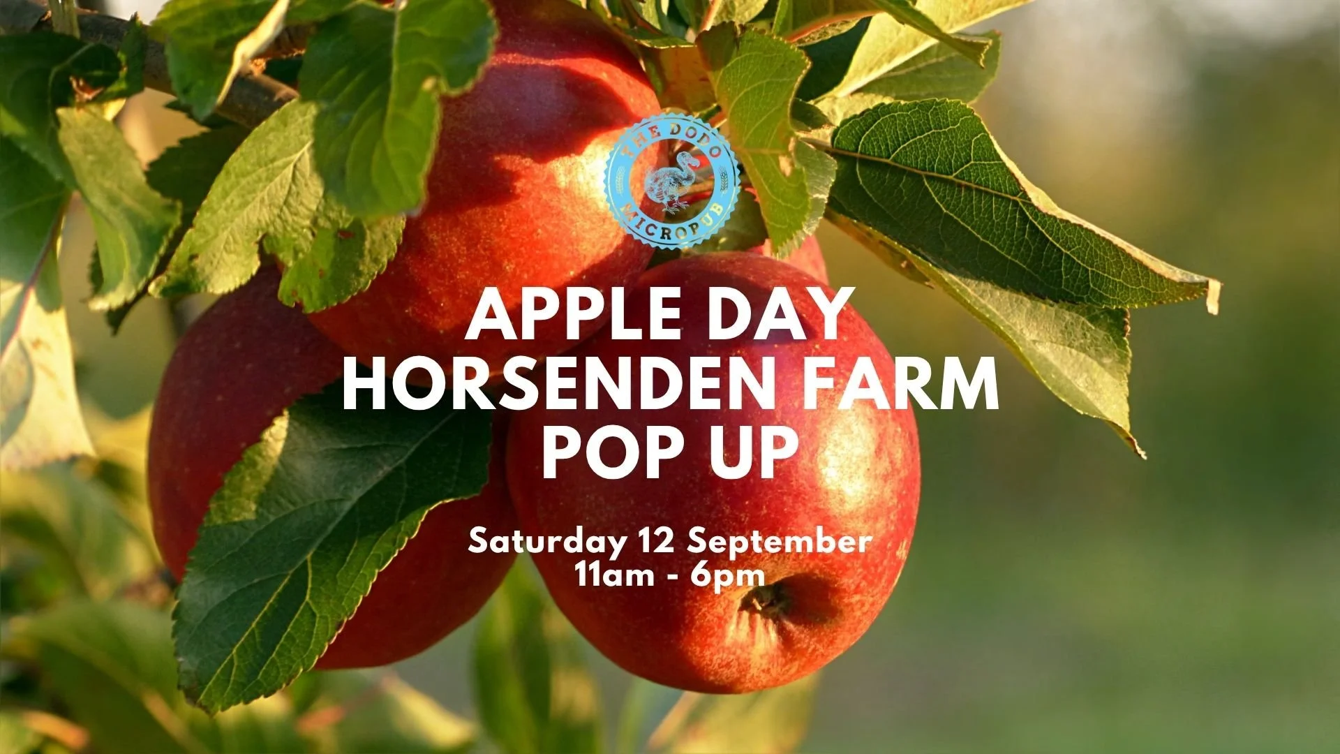Apple Day | Horsenden Farm Pop Up