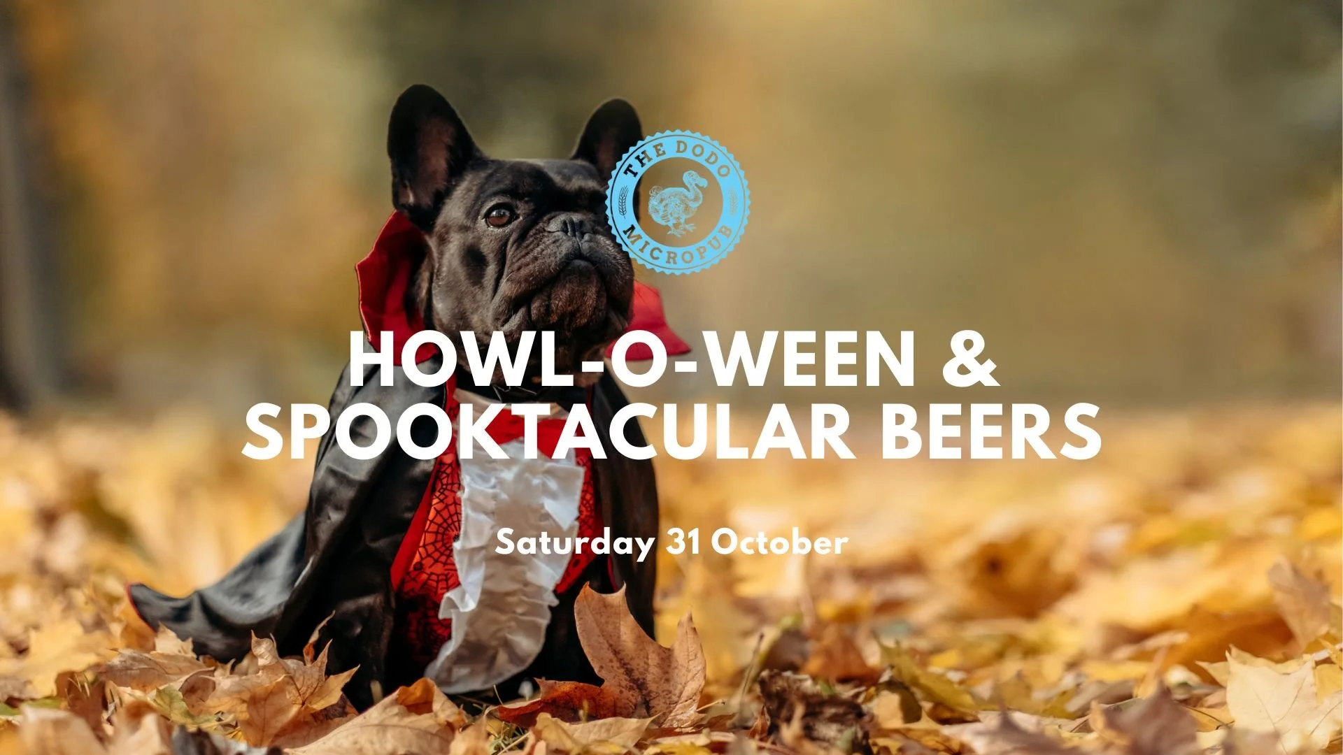 Howl-O-Ween &amp; Spooktacular Beers
