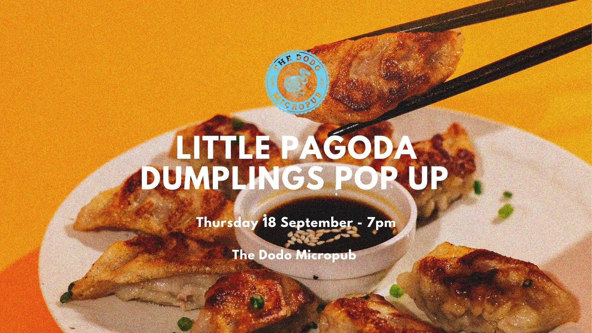 Dumpling Pop Up Shop.jpg