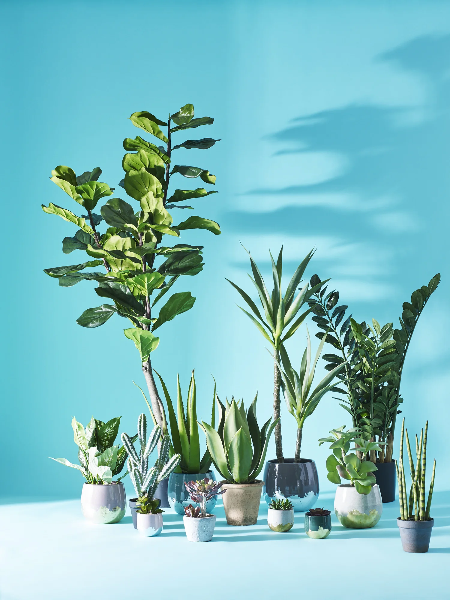 42 ARTIFICAL PLANTS_214.jpg