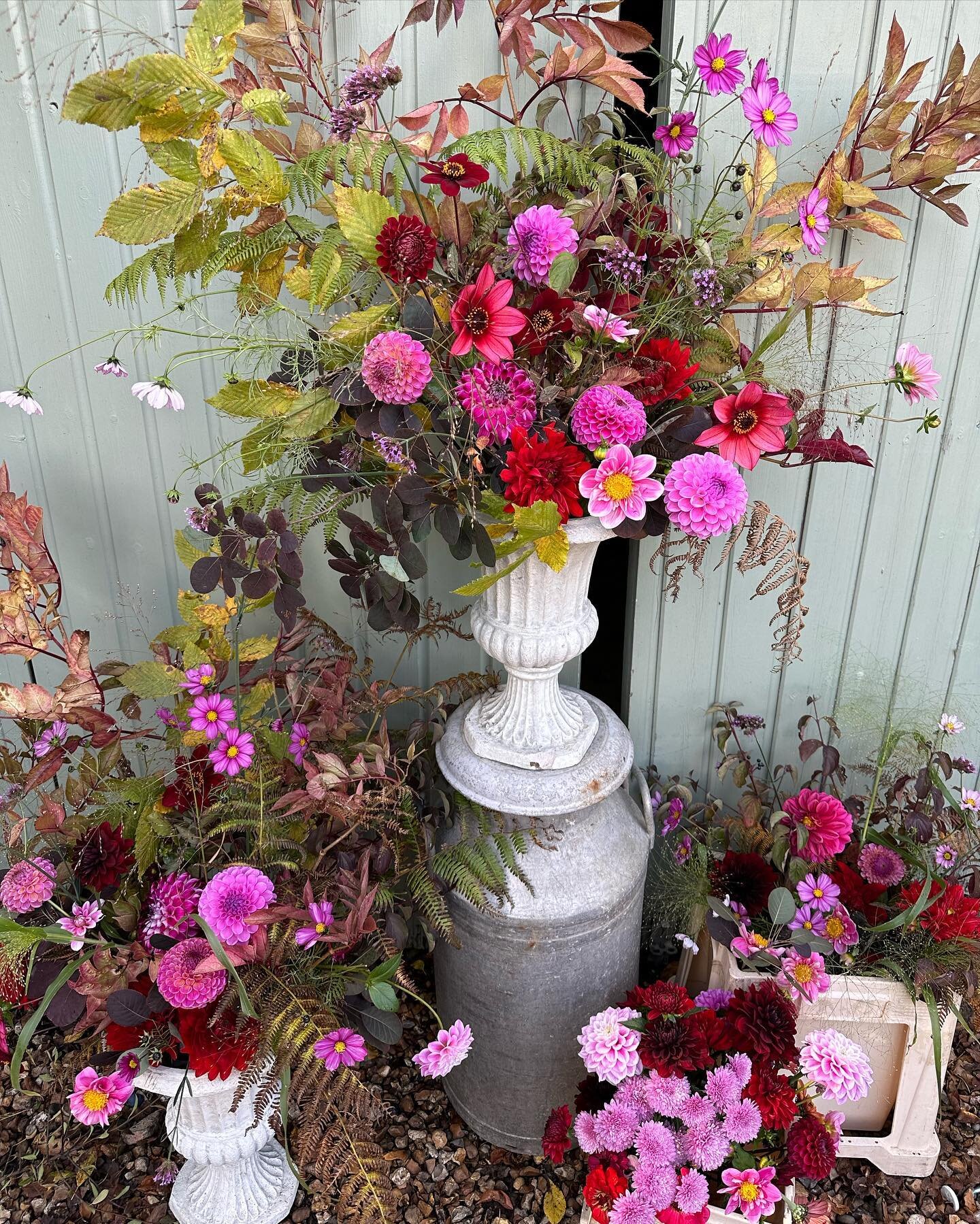 This time last week&hellip; flowers for @thejollyhog @thejollyolly book launch 🐽🐽🐽🐽 #eventflowers #thejollyhog #theforgebristol #dahlias #seasonalflowers #bristolflorist #booklaunchparty #britishflowers #flowerstagram #underthefloralspell