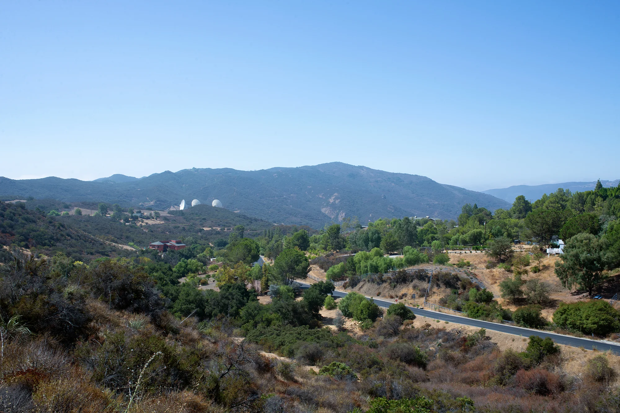 Western Mulholland 6867