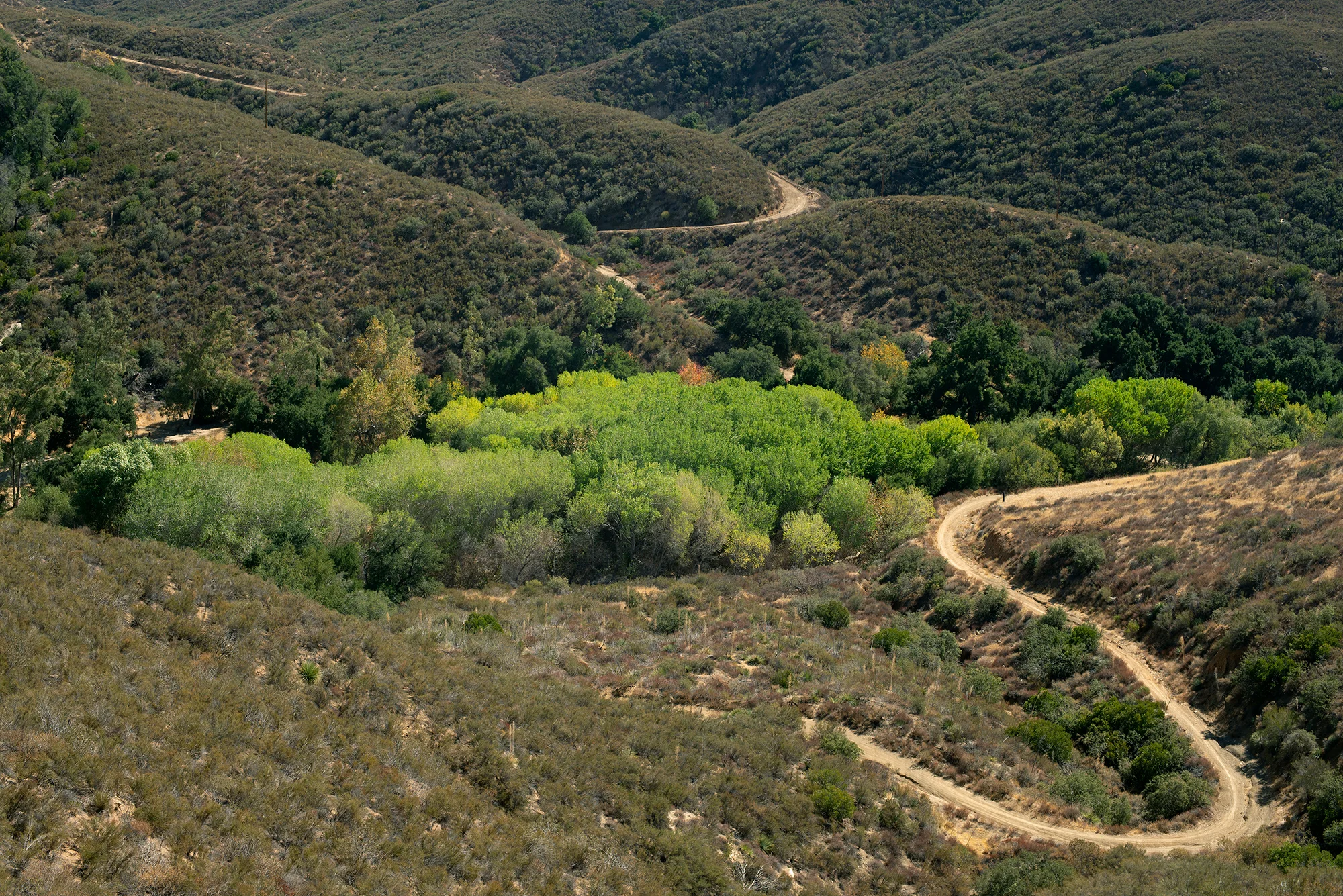 San Francisquito 7307