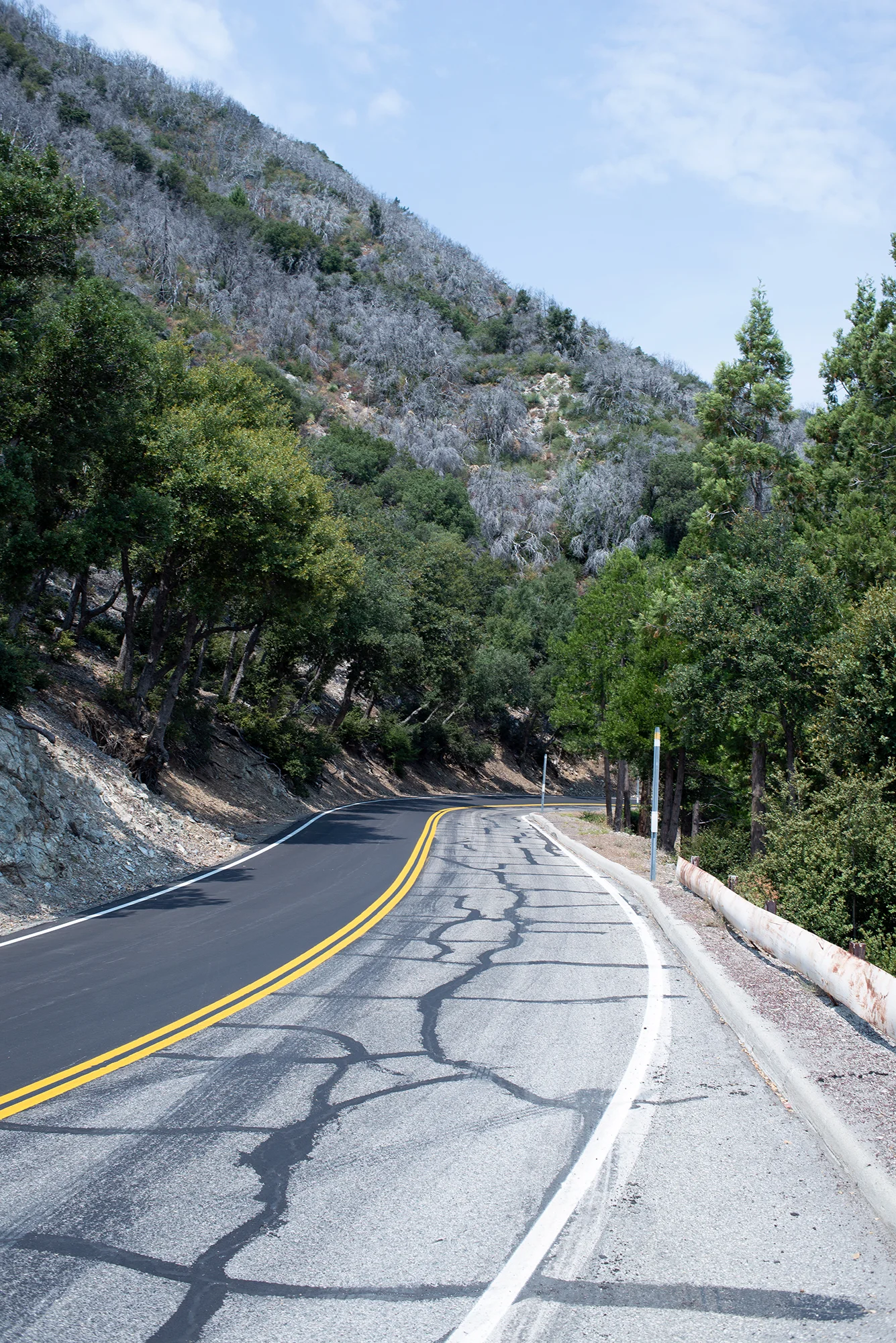Mt. Wilson 6441