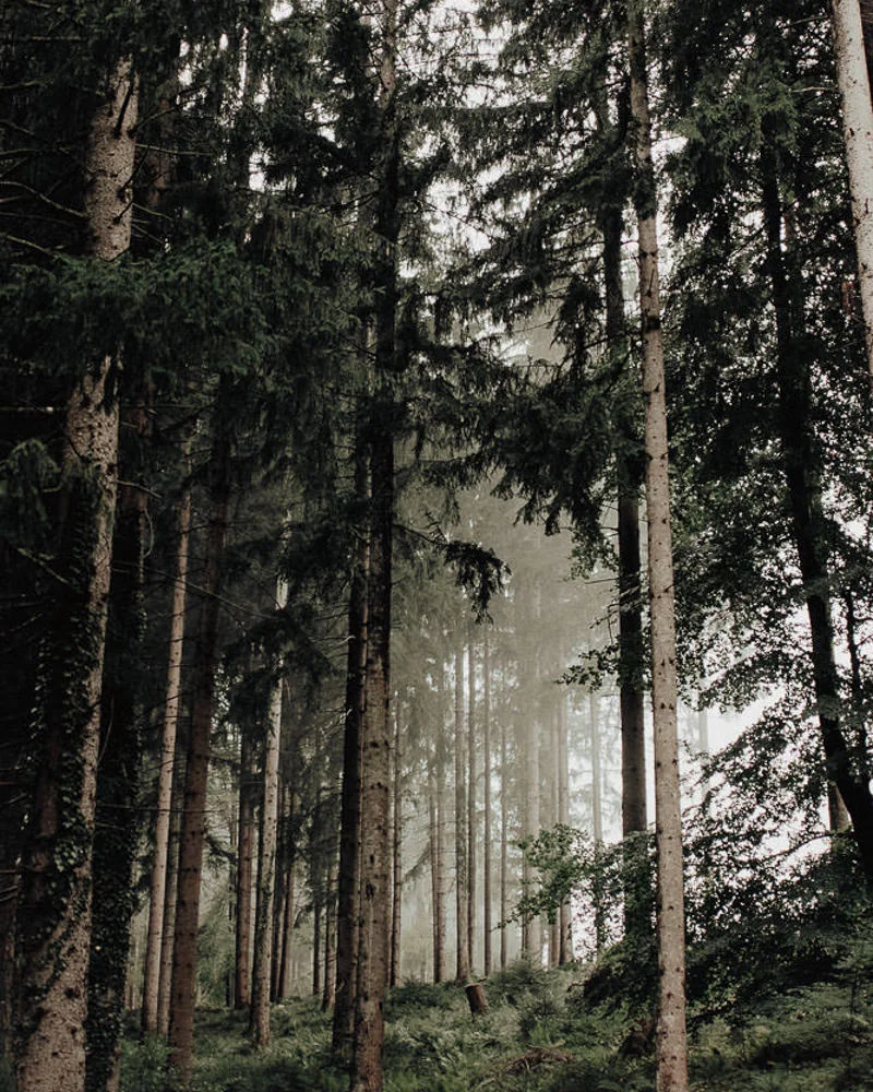 erikwinter_fairytale_01-1.jpg