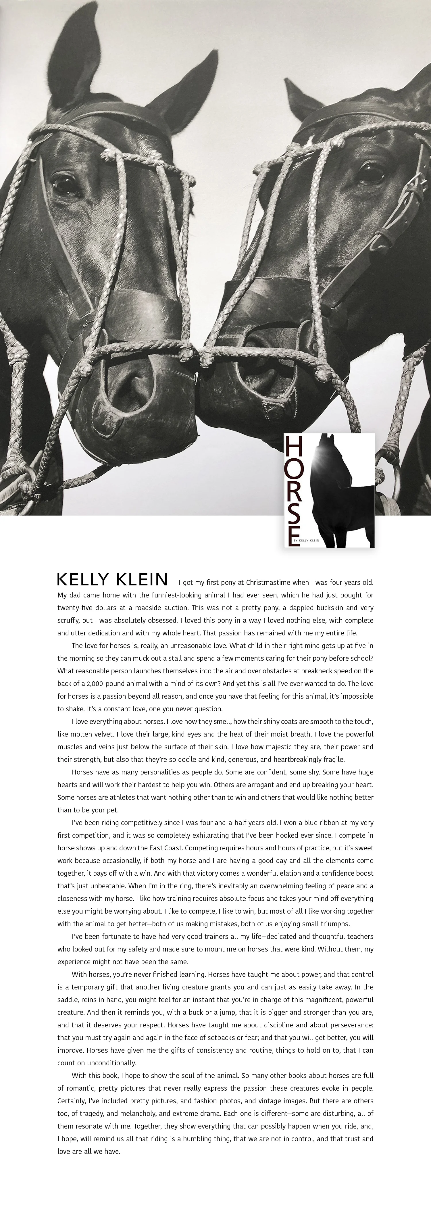 KKlein-horse.jpg