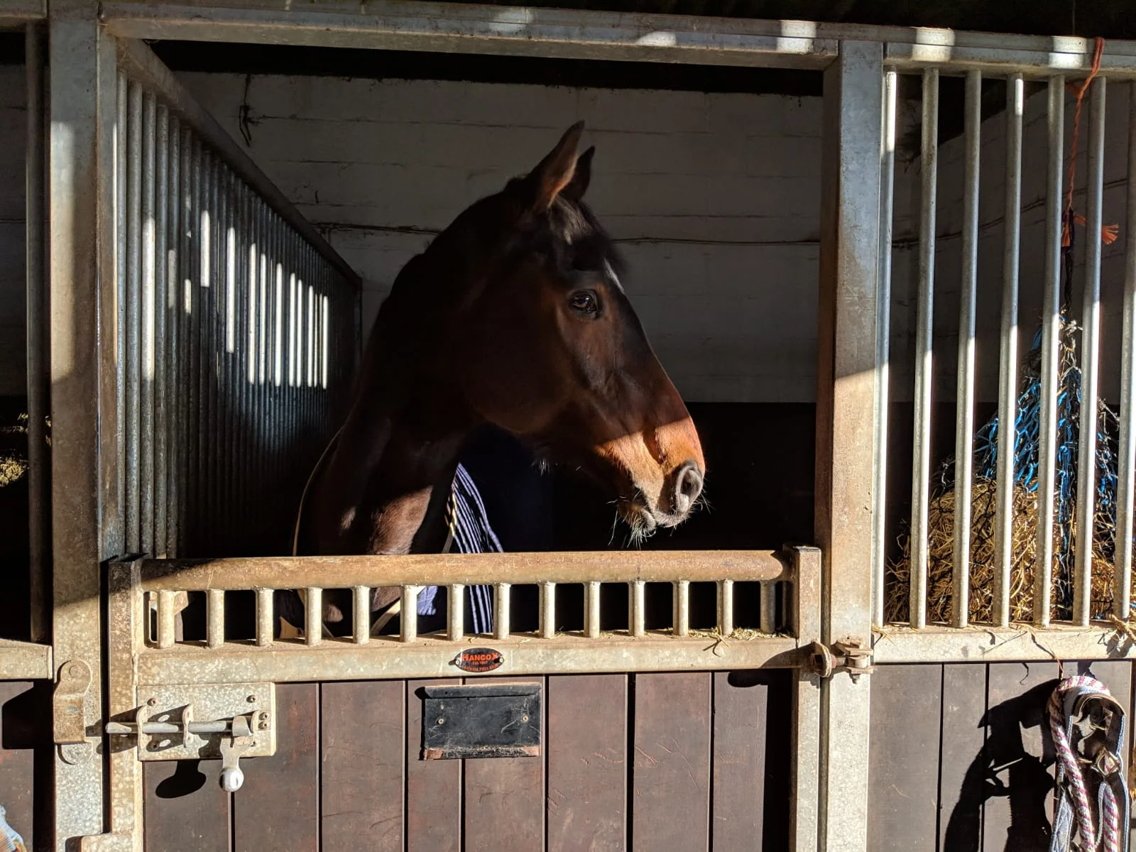 Mary in Stable.jpg