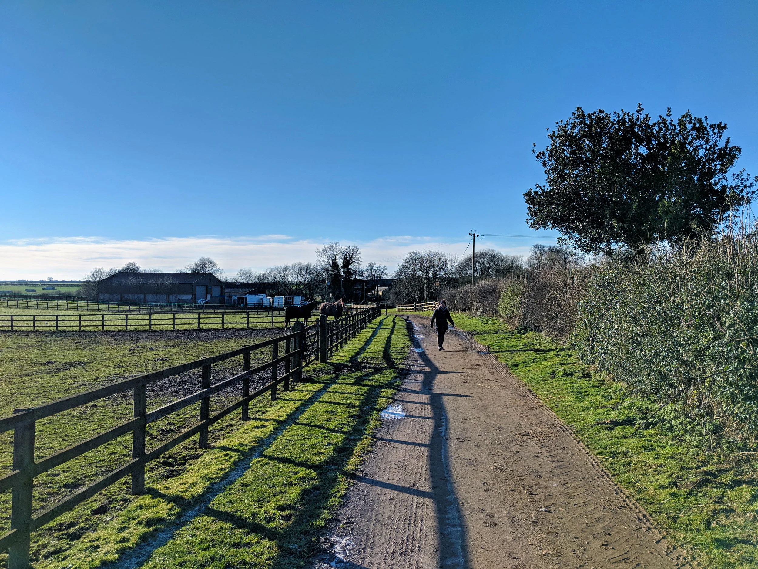 MVIMG_20190123_135306.jpg