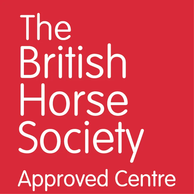 BHS Approved Livery Yard