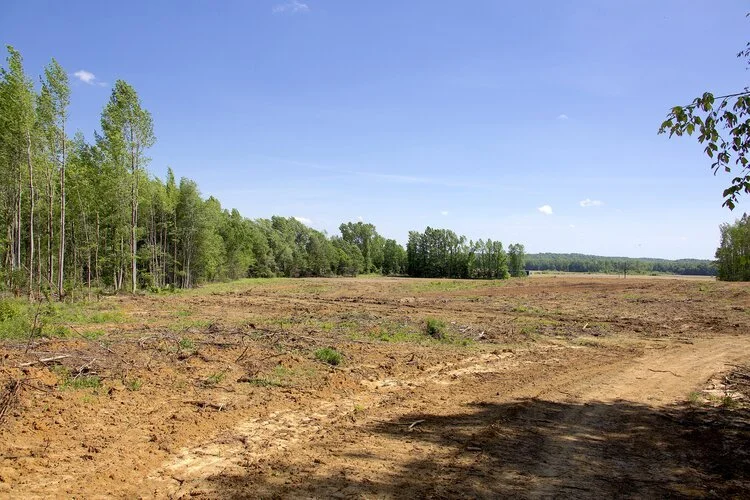 HWY 45 Investment Land