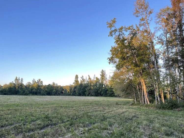 Horseshoe Creek Farm