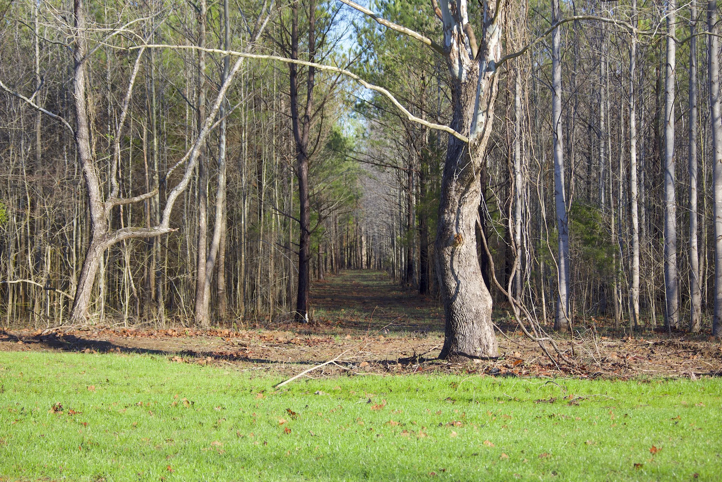 Hidden Pond Farm — Harvesters Land Co.
