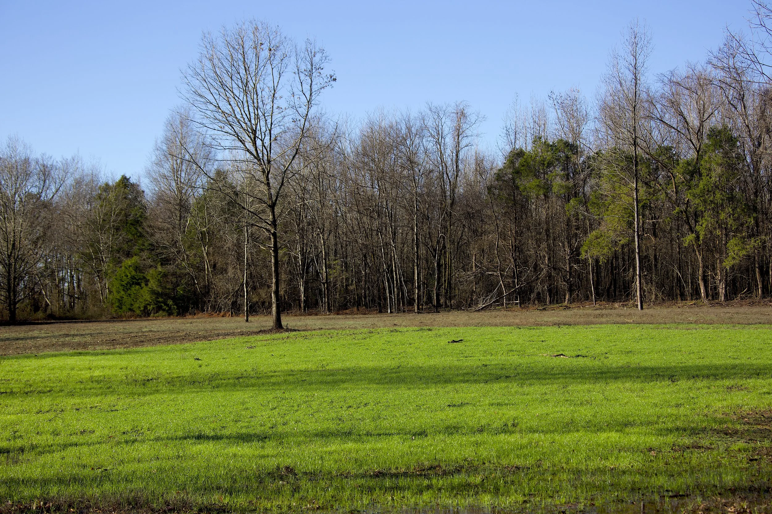 Hidden Pond Farm — Harvesters Land Co.