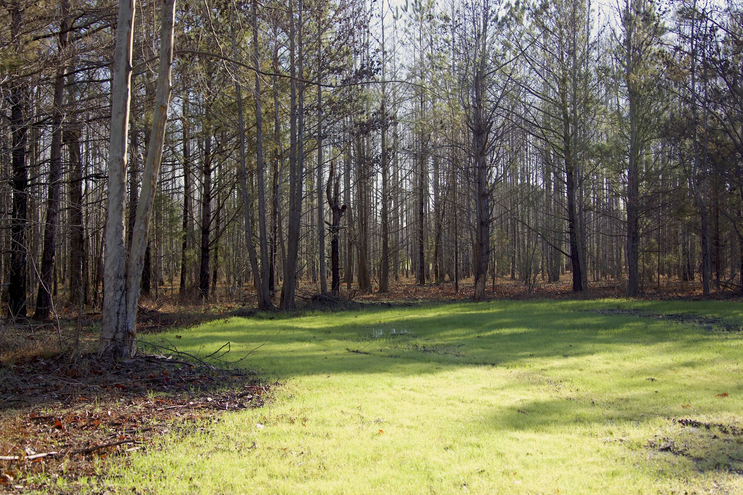 Hidden Pond Farm — Harvesters Land Co.