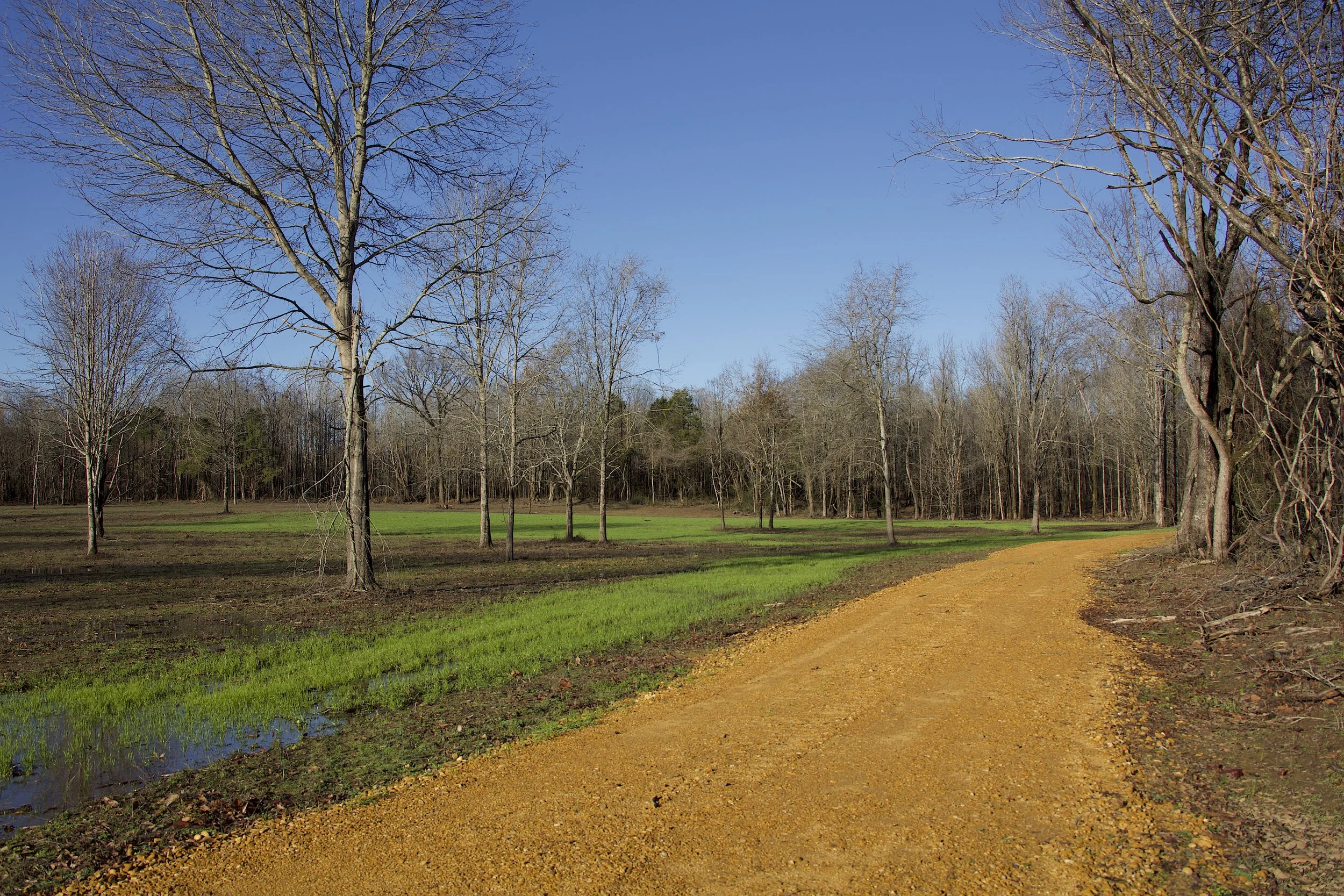 Hidden Pond Farm — Harvesters Land Co.