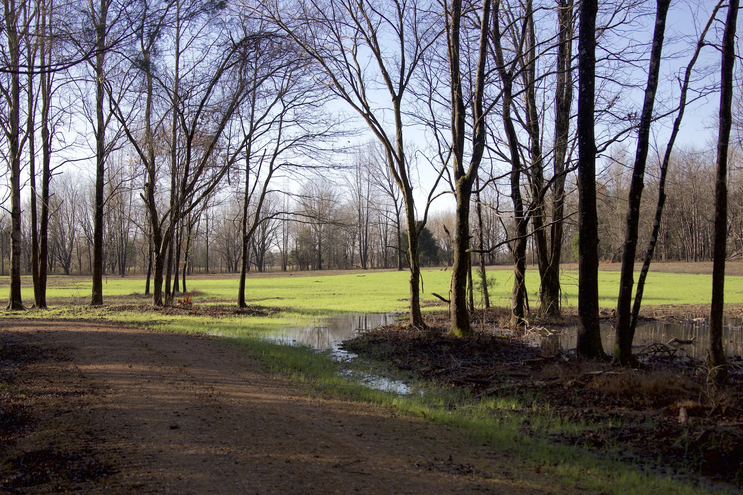 Hidden Pond Farm — Harvesters Land Co.